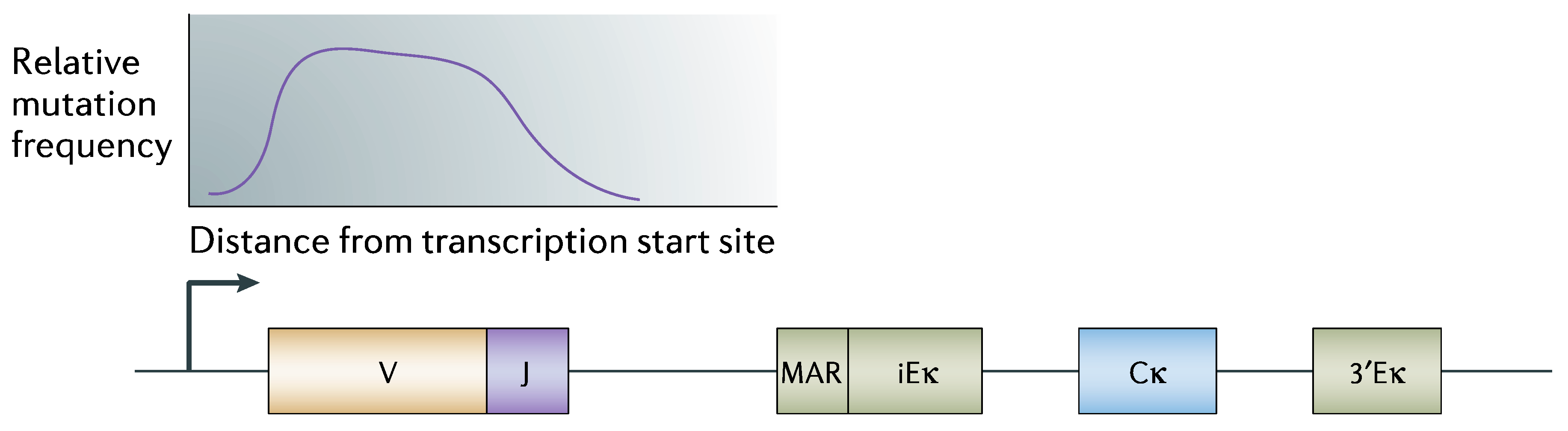 Biology 06 00047 g001