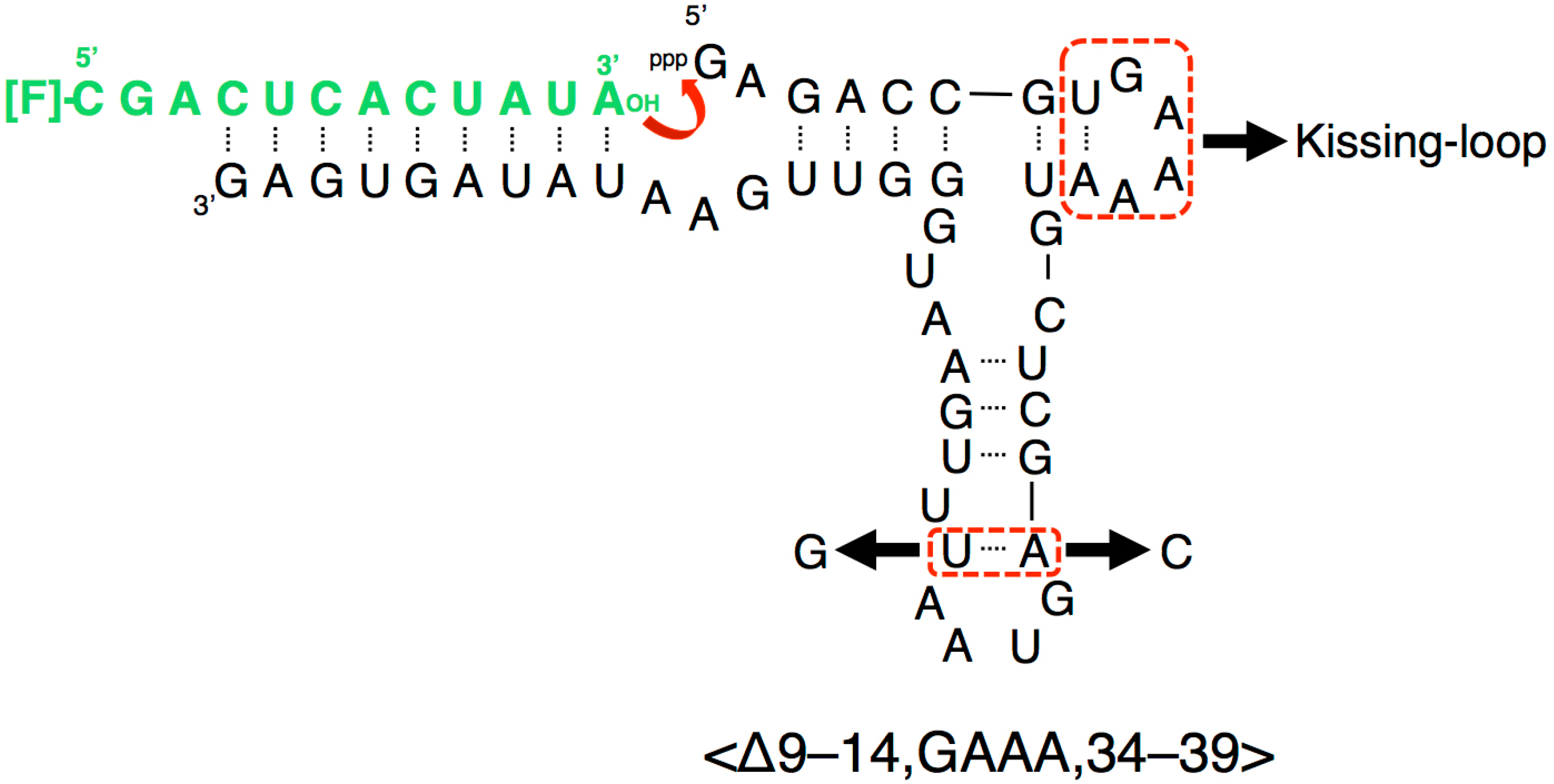 Biology 07 00007 g002 550