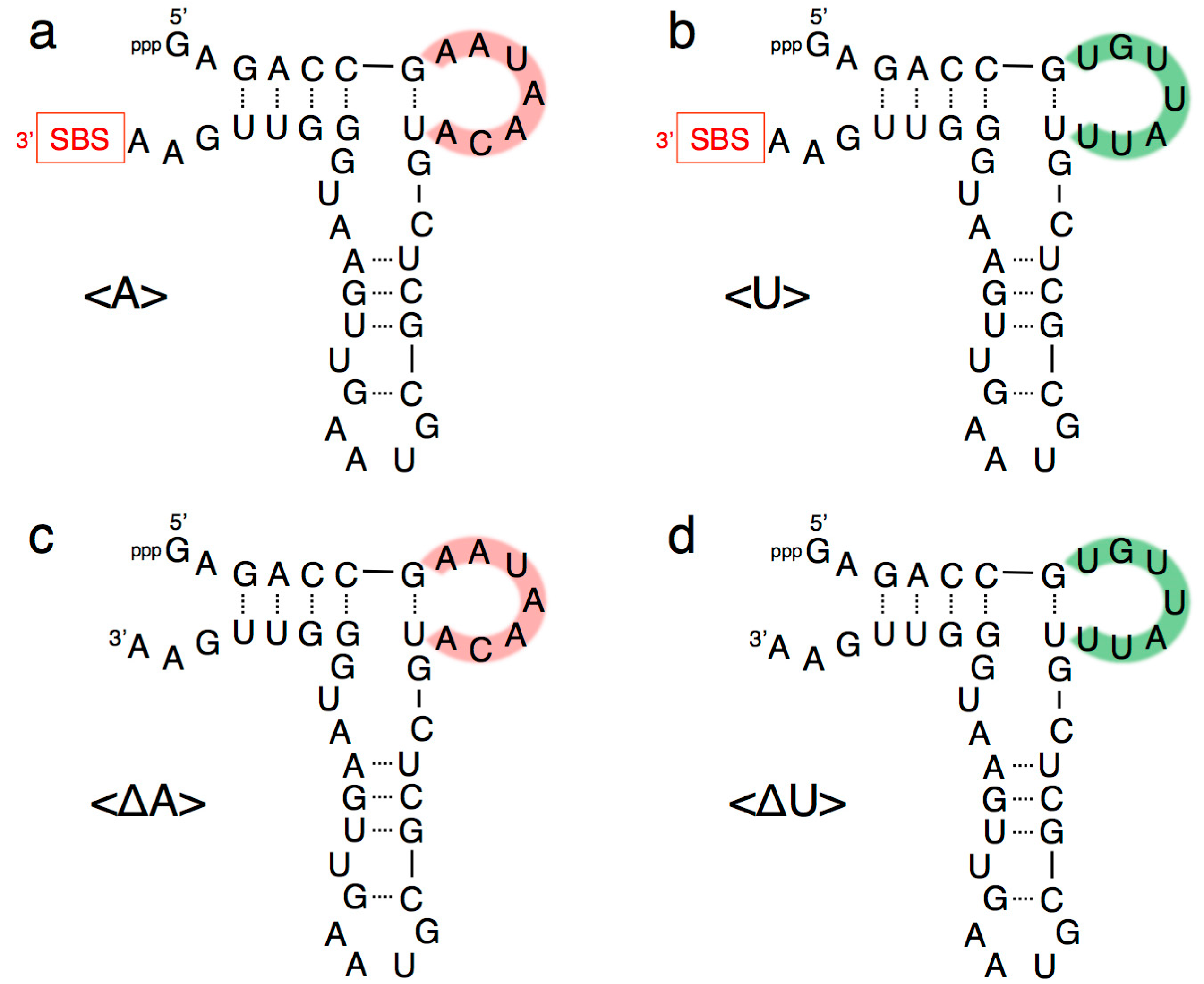Biology 07 00007 g003 550