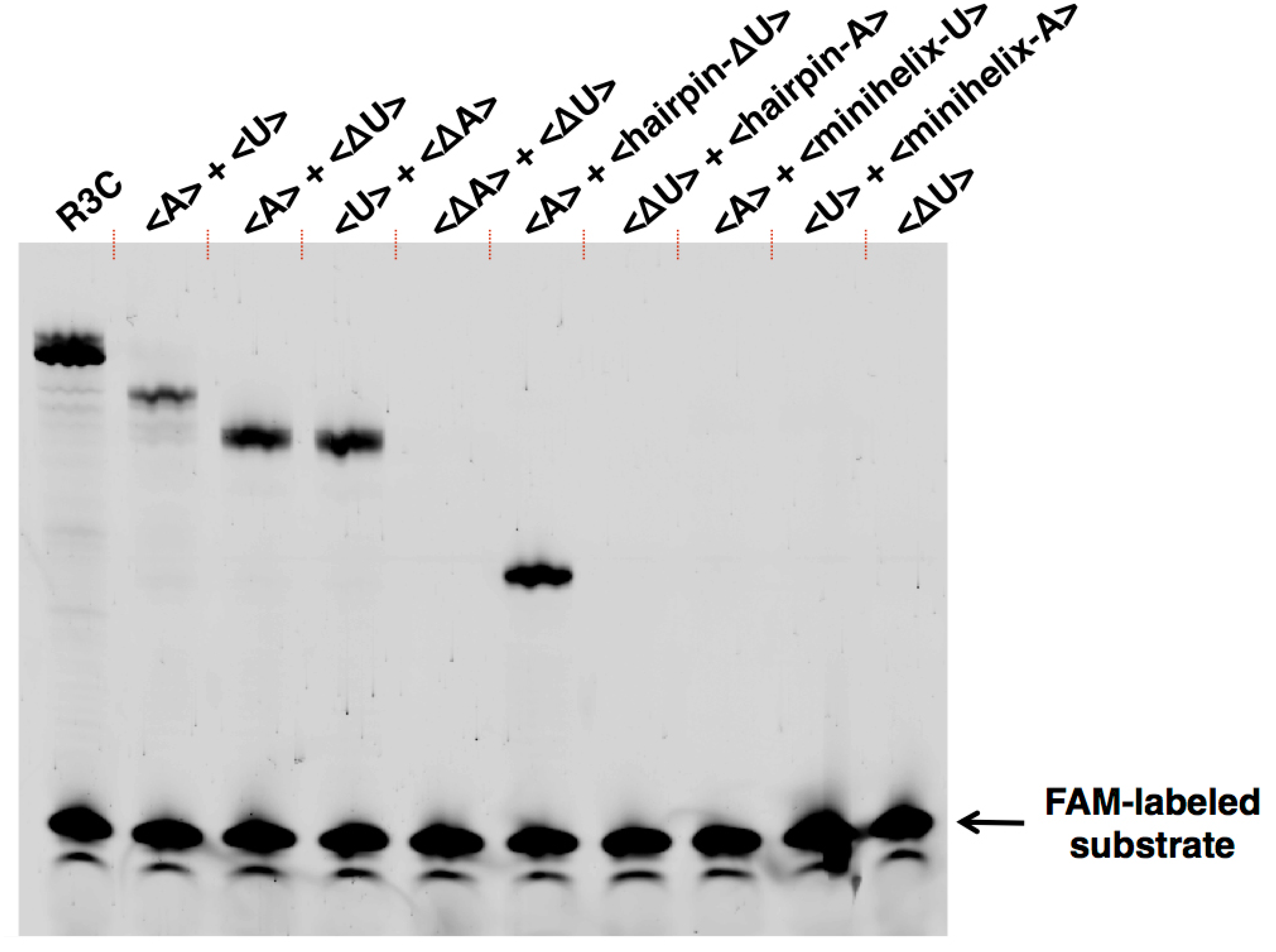 Biology 07 00007 g006 550