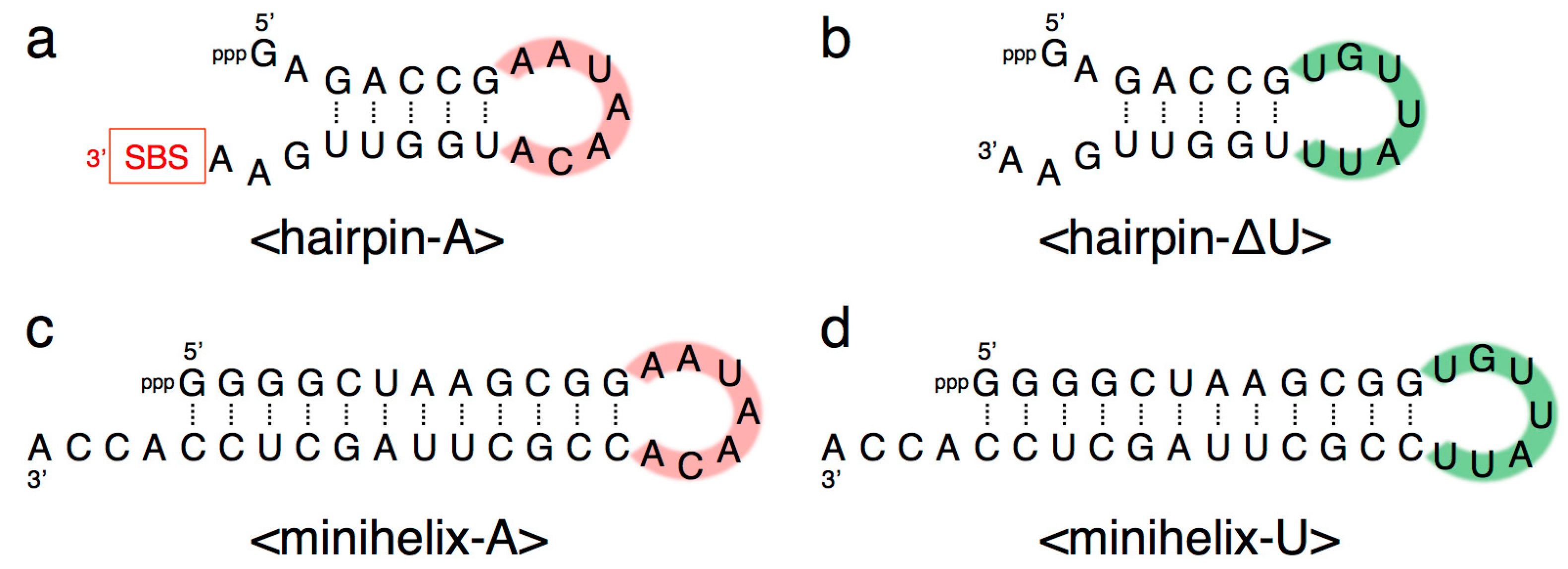 Biology 07 00007 g007 550