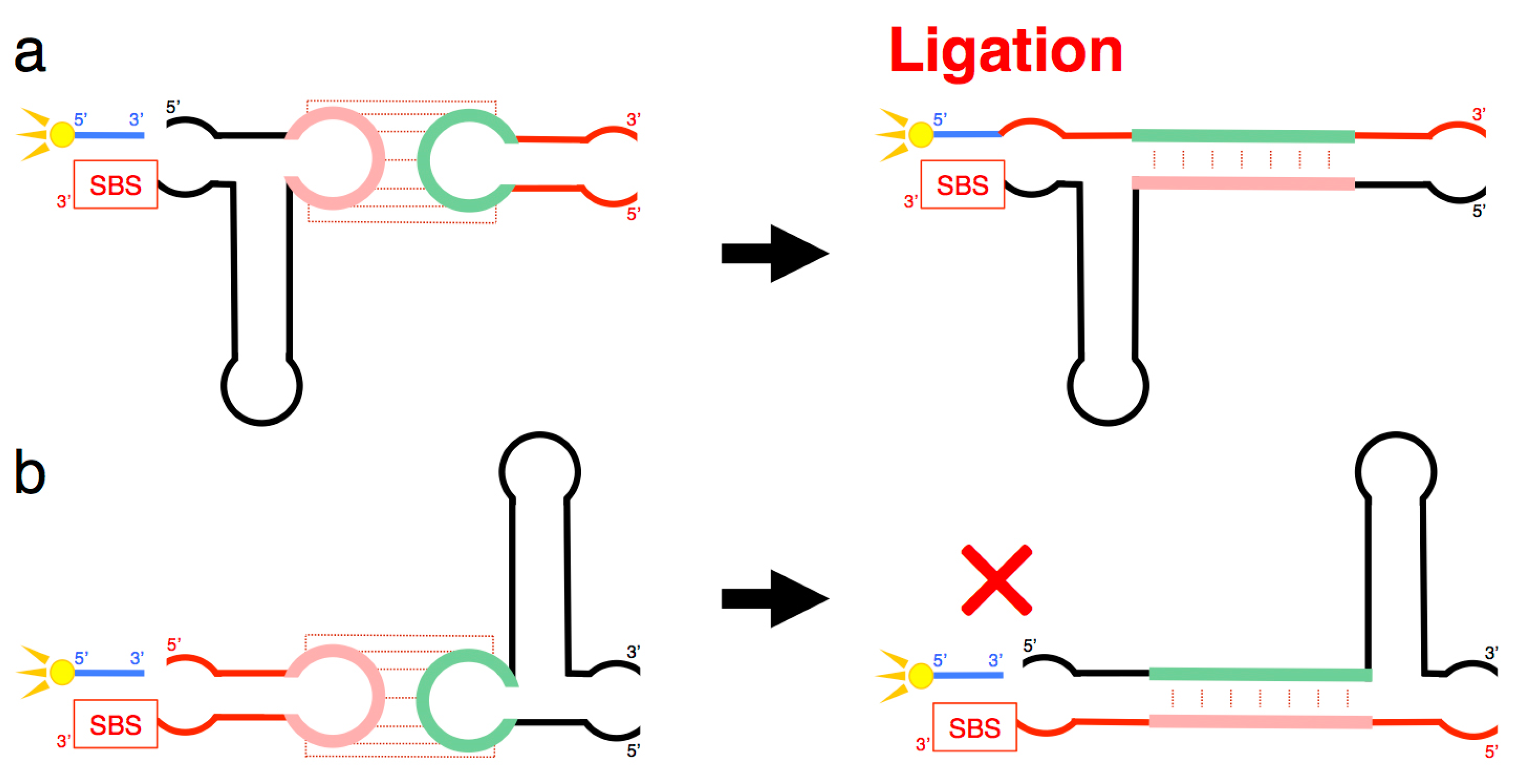 Biology 07 00007 g008 550