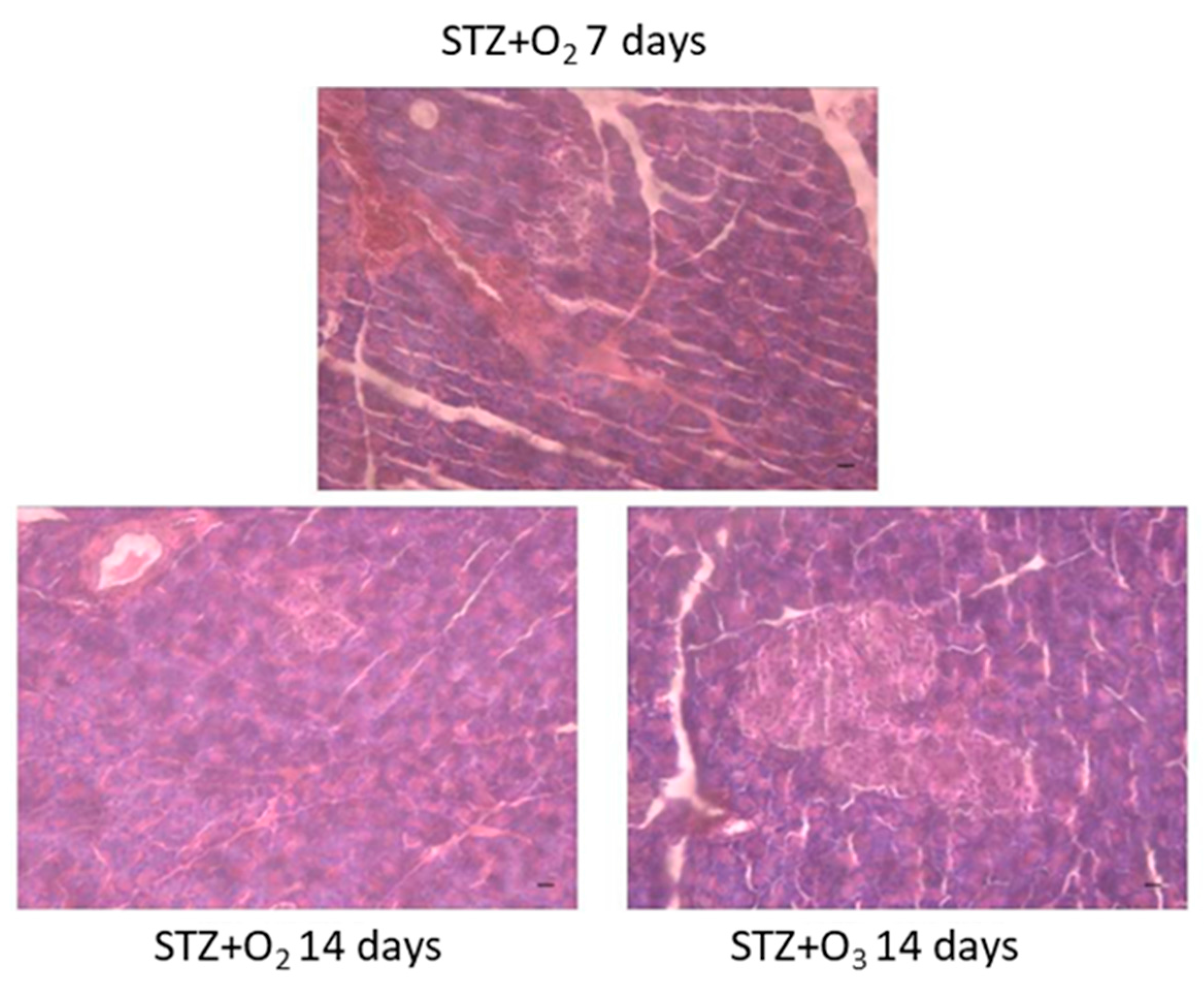 Biology 07 00010 g003 Biology 07 00010 g003