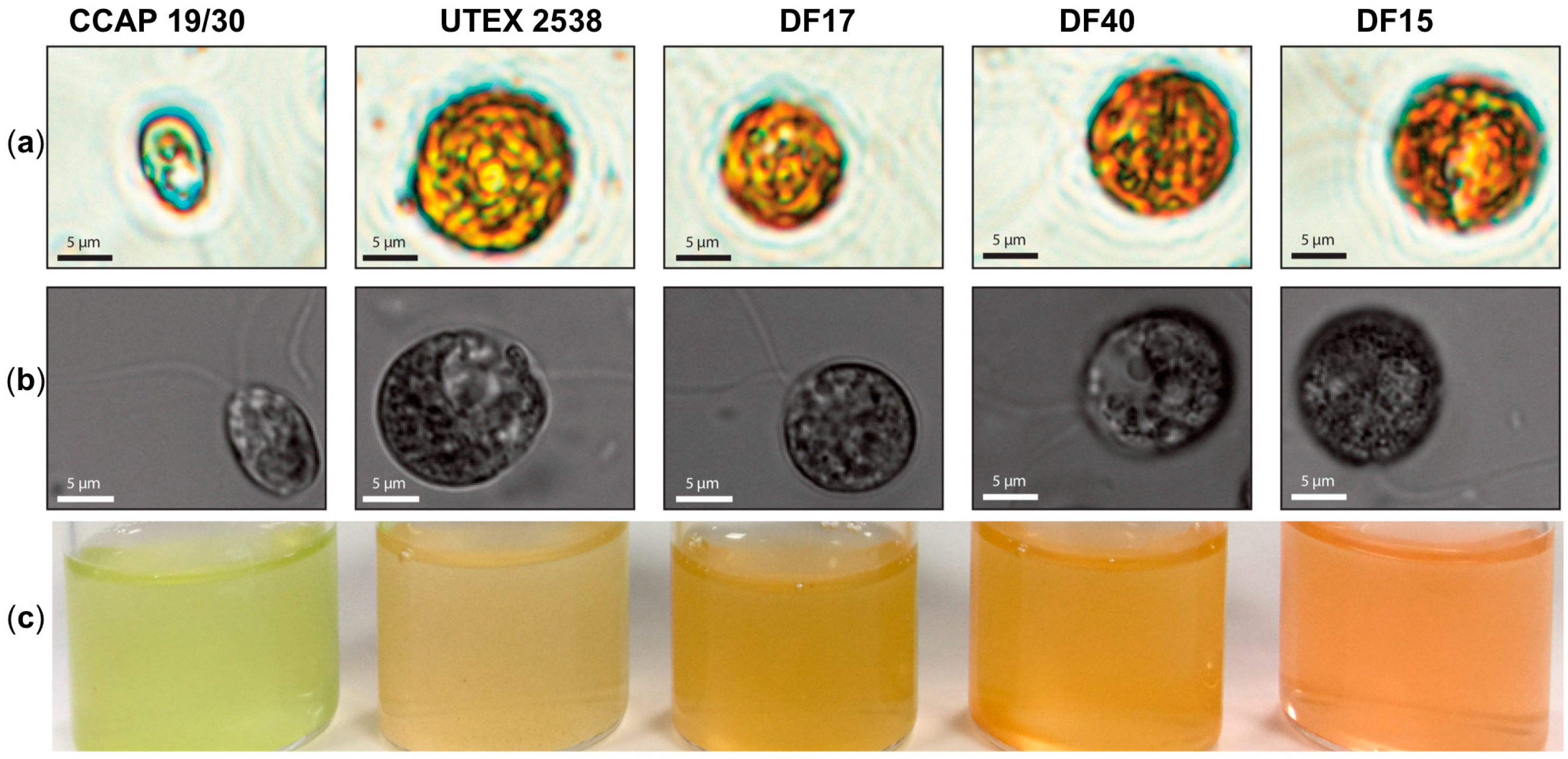 Biology 07 00014 g001 Biology 07 00014 g001