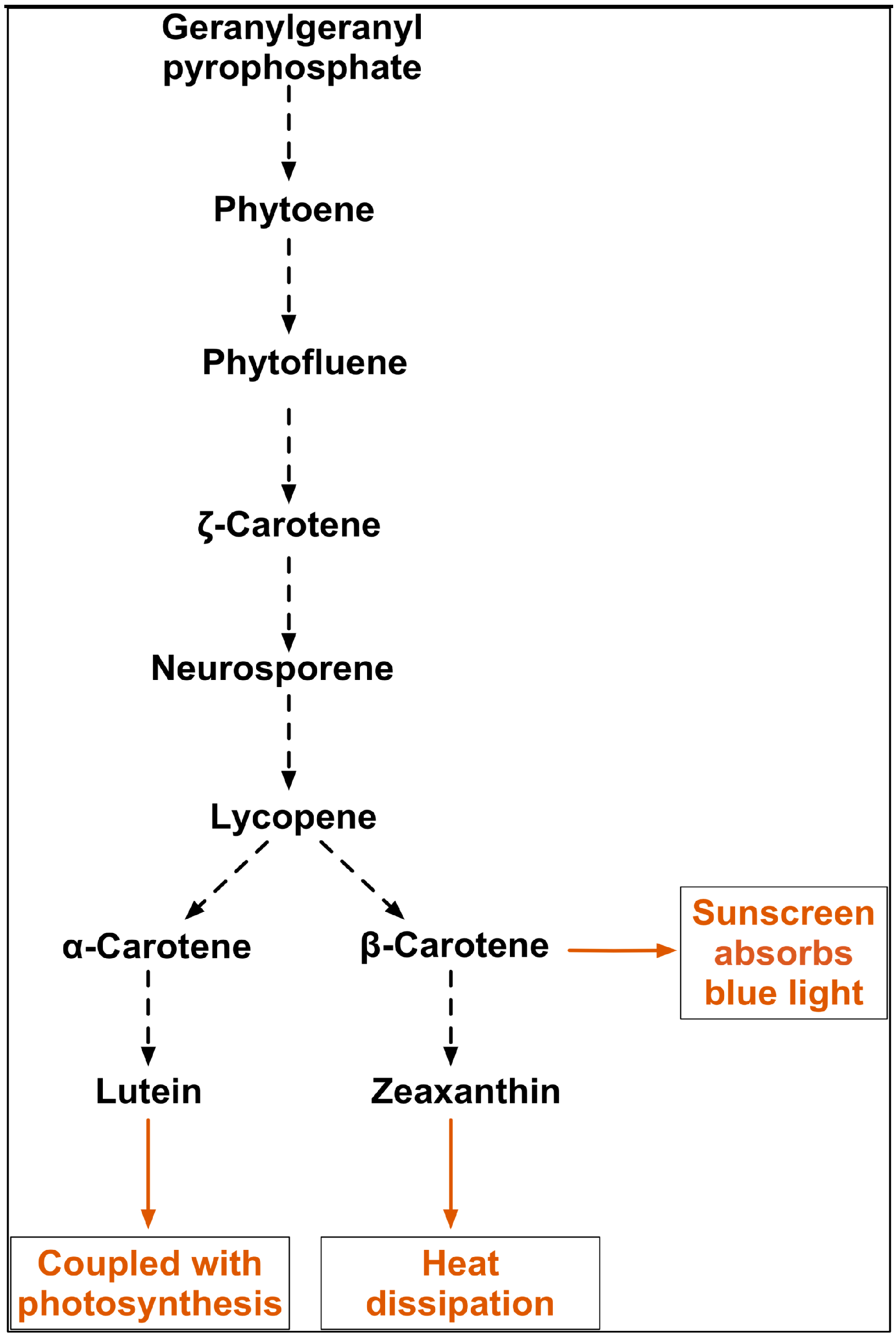 Biology 07 00014 g009 Biology 07 00014 g009