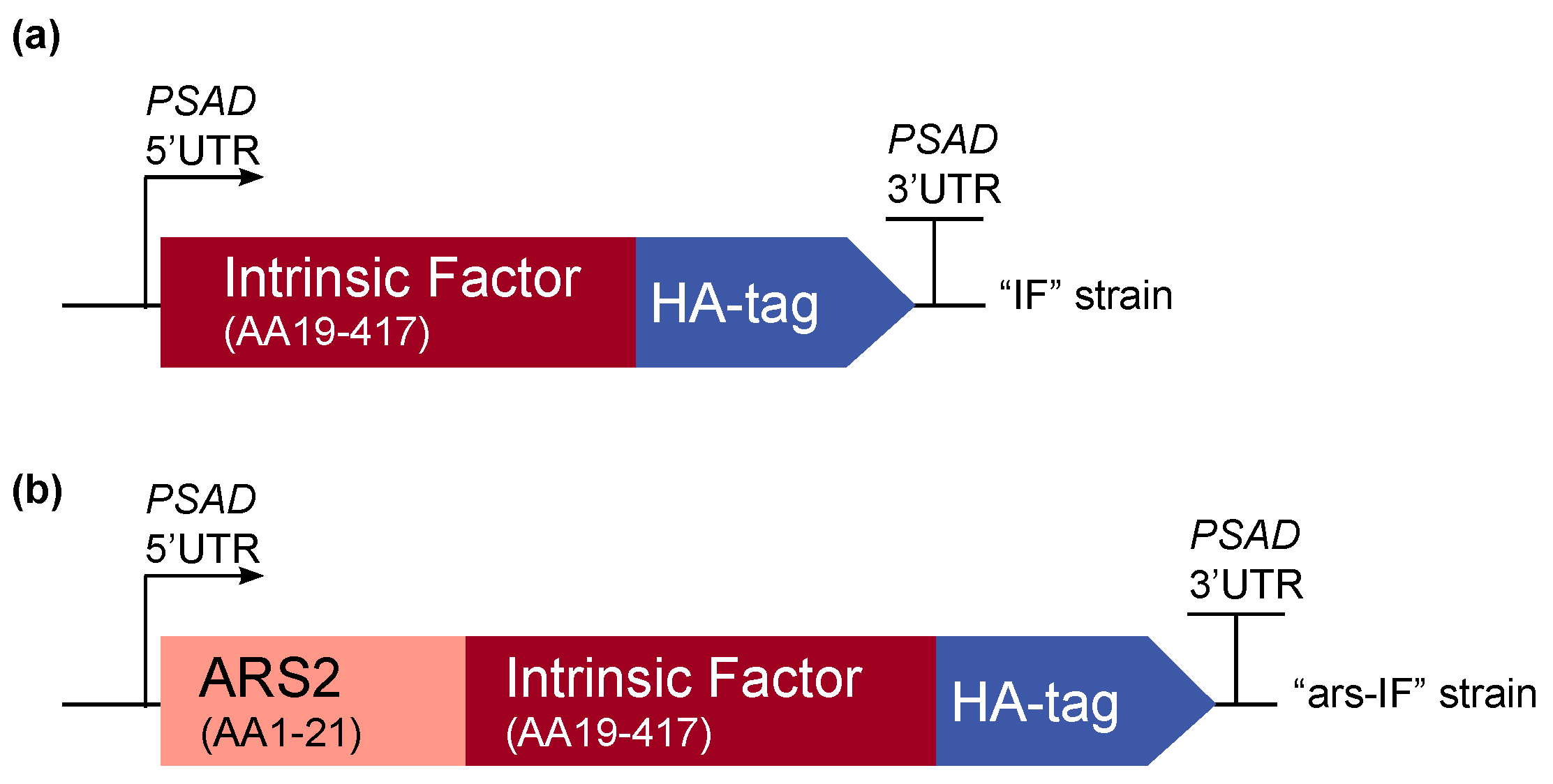 Biology 07 00019 g001 Biology 07 00019 g001