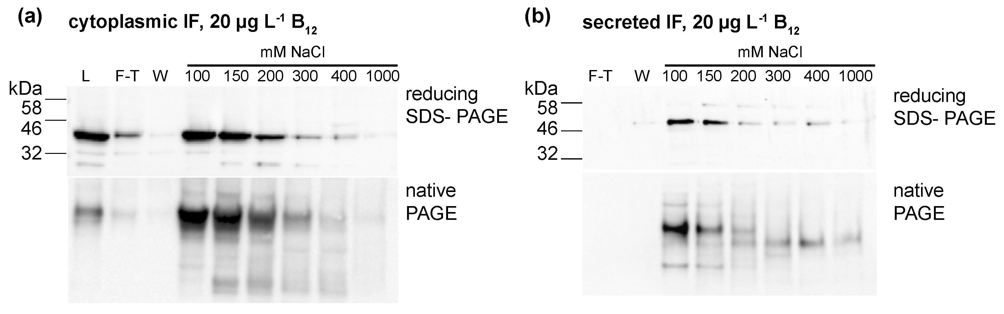 Biology 07 00019 g004 Biology 07 00019 g004