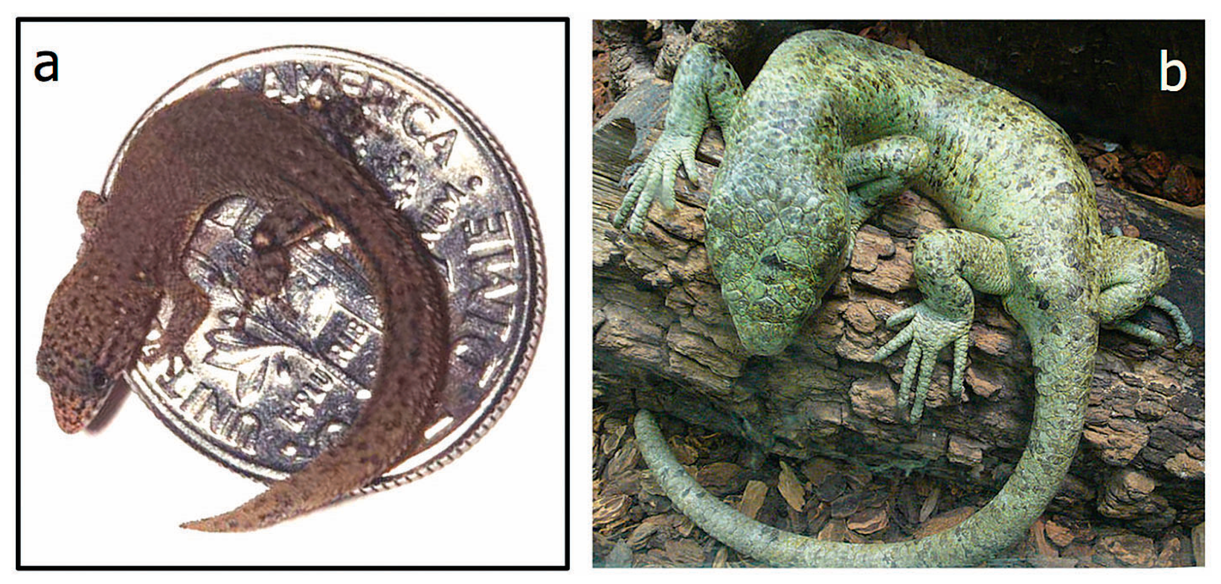 Biology 07 00020 g003 Biology 07 00020 g003