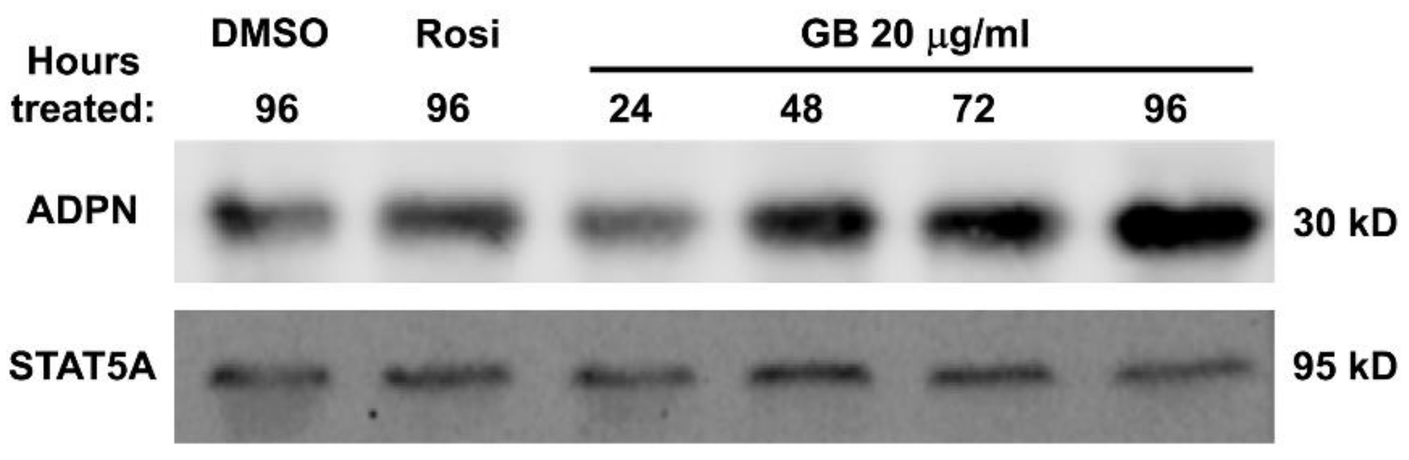 Biology 07 00022 g004