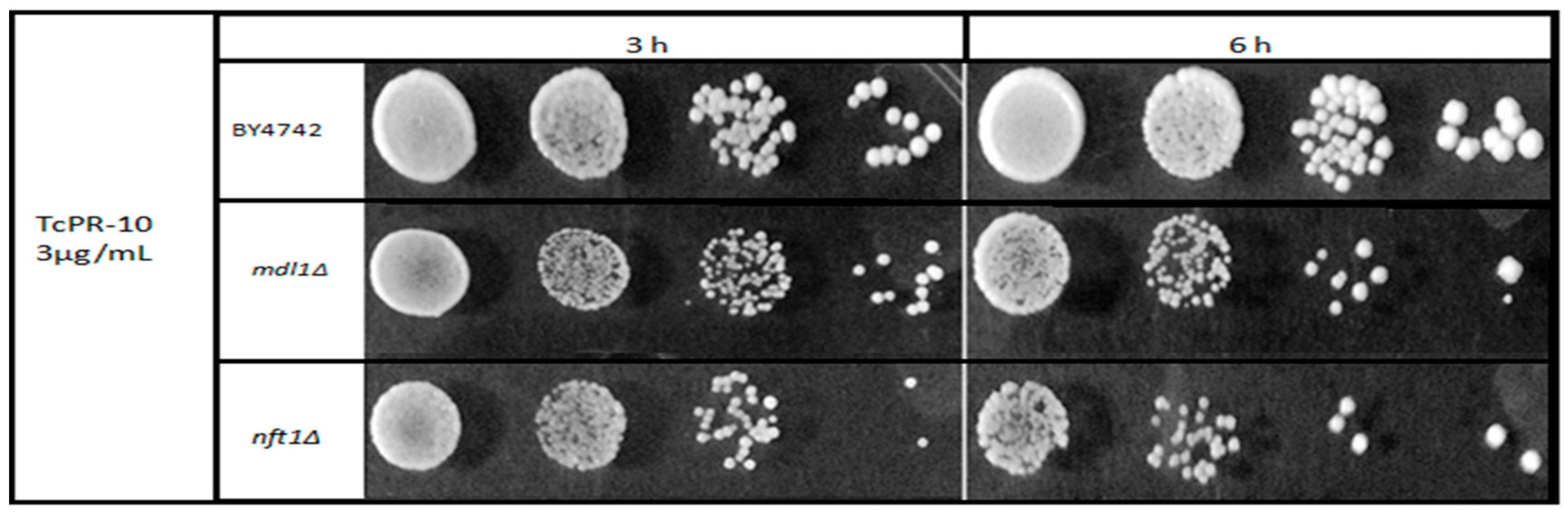 Biology 07 00035 g003