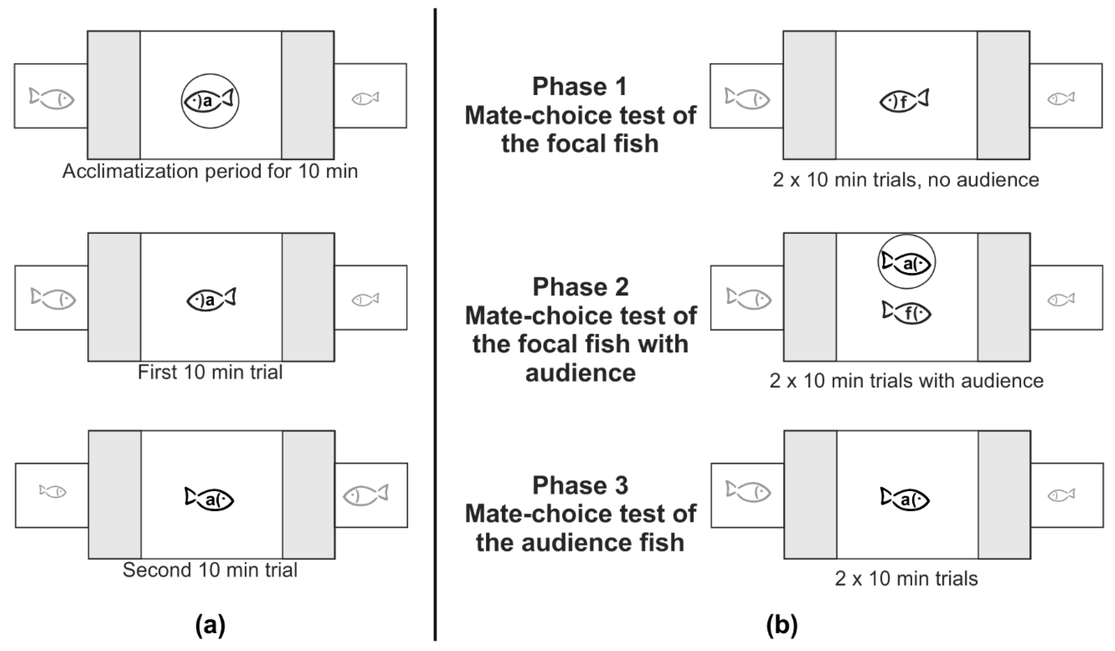 Biology 07 00040 g001 Biology 07 00040 g001