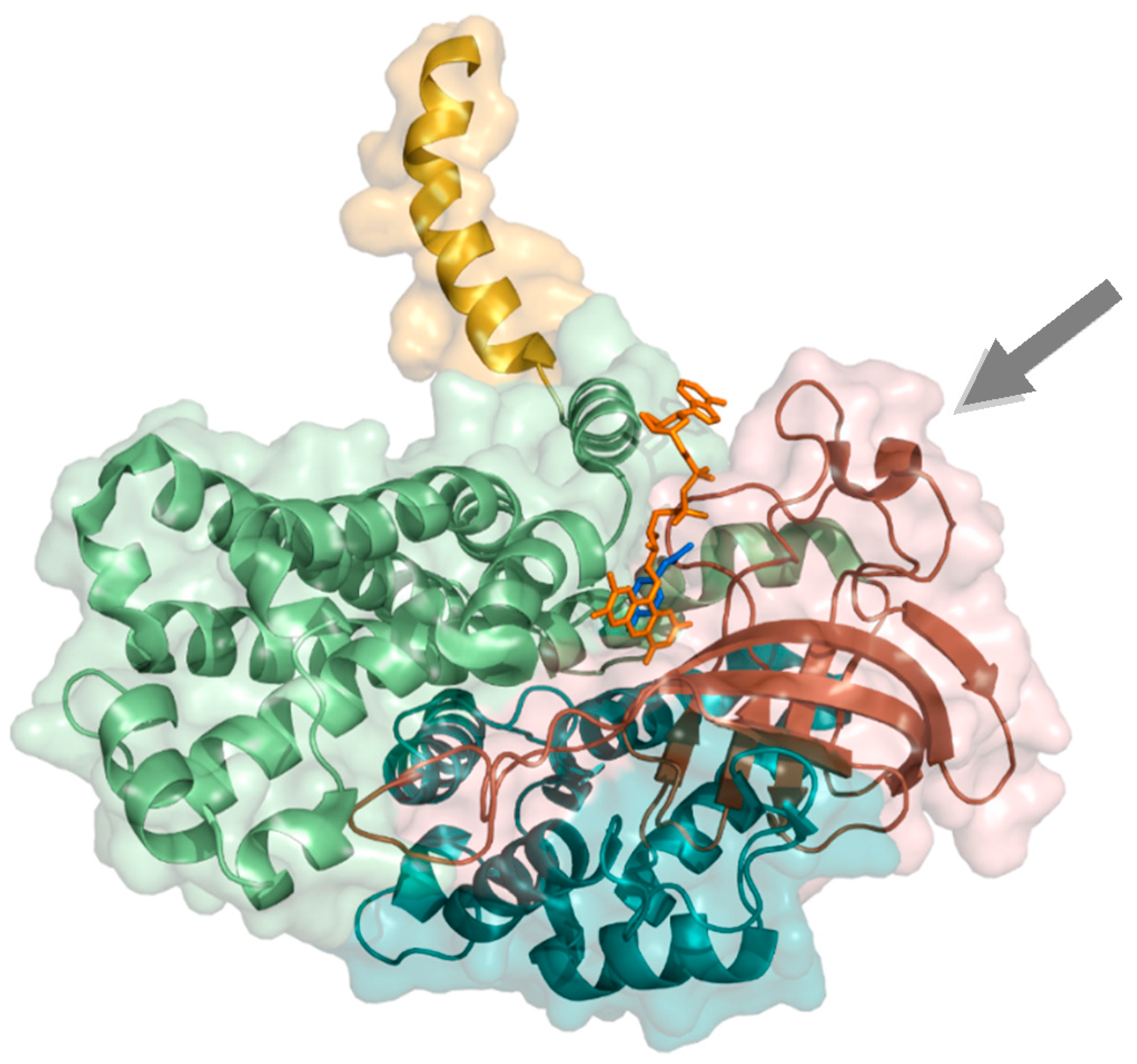 Biology 07 00042 g004 Biology 07 00042 g004