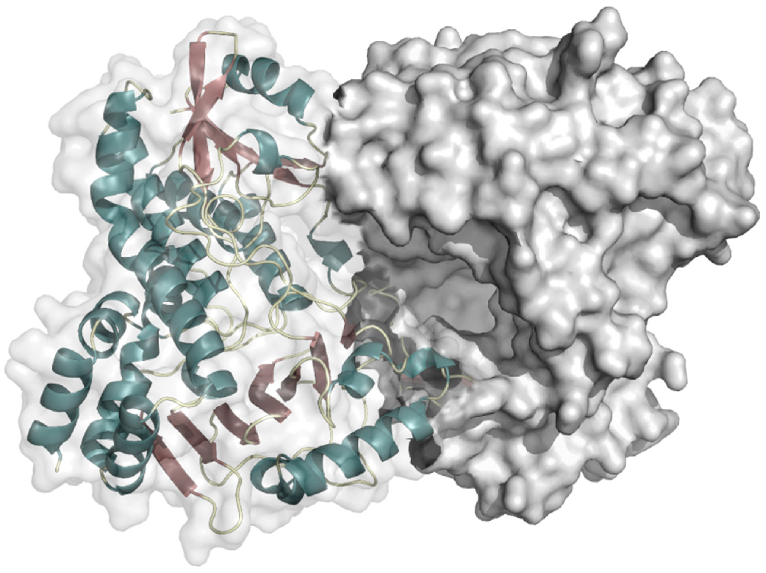 Biology 07 00042 g007 Biology 07 00042 g007