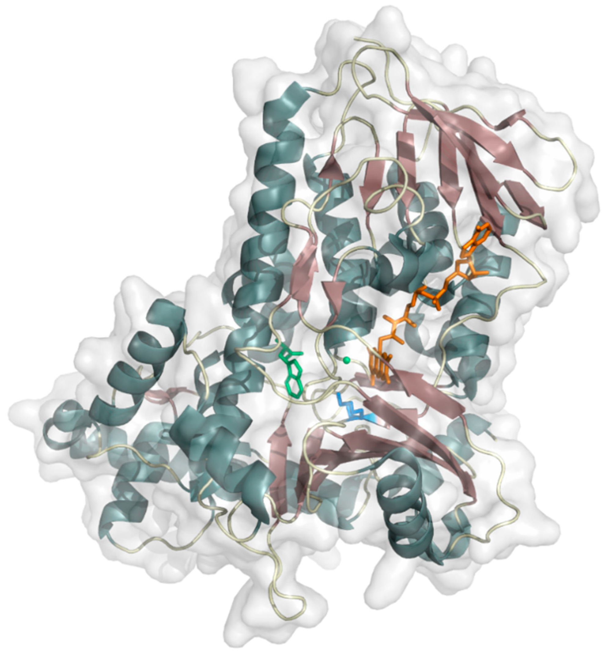 Biology 07 00042 g009 Biology 07 00042 g009