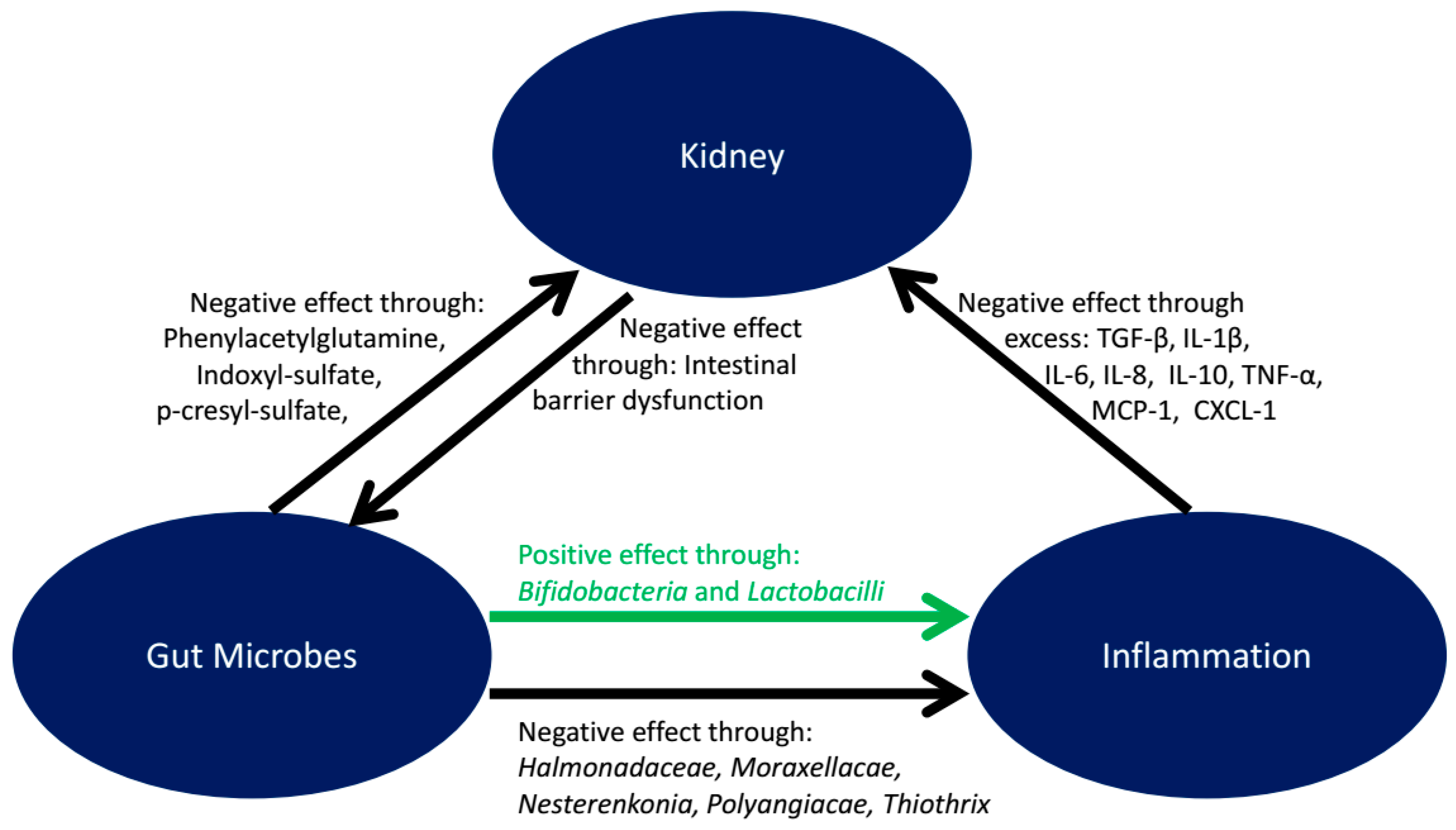 Biology 07 00045 g001 Biology 07 00045 g001