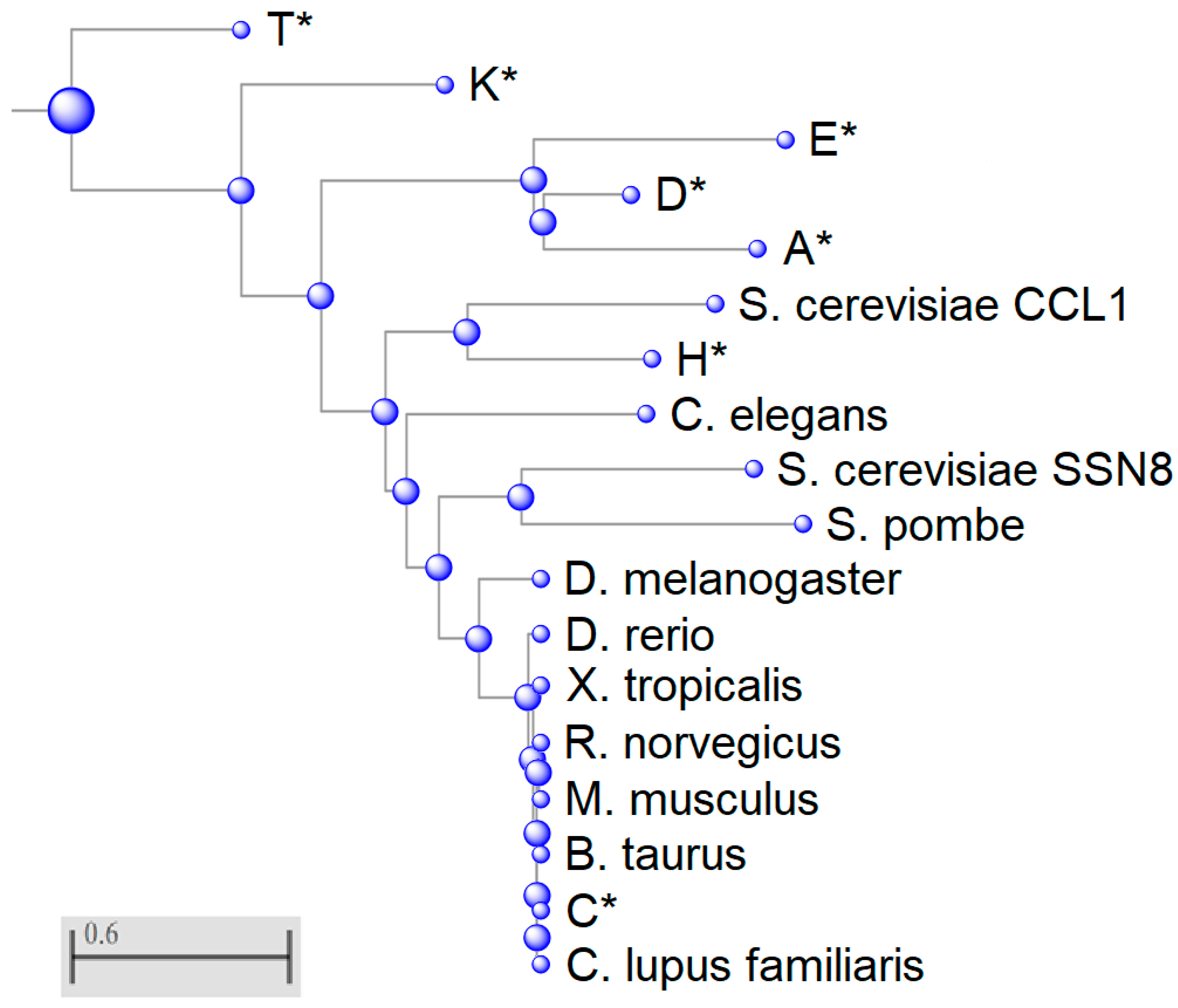 Biology 08 00003 g002