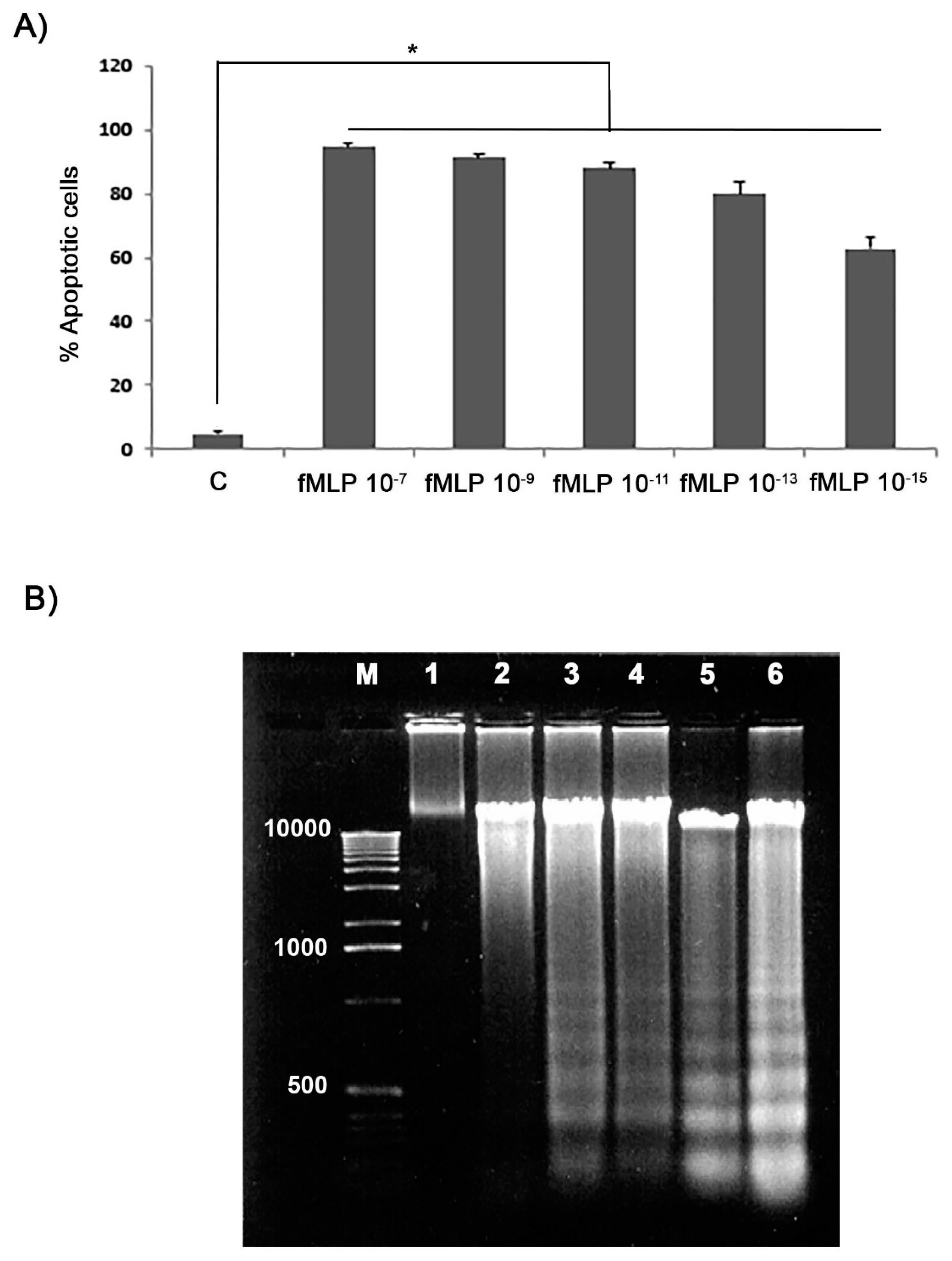 Biology 08 00004 g003