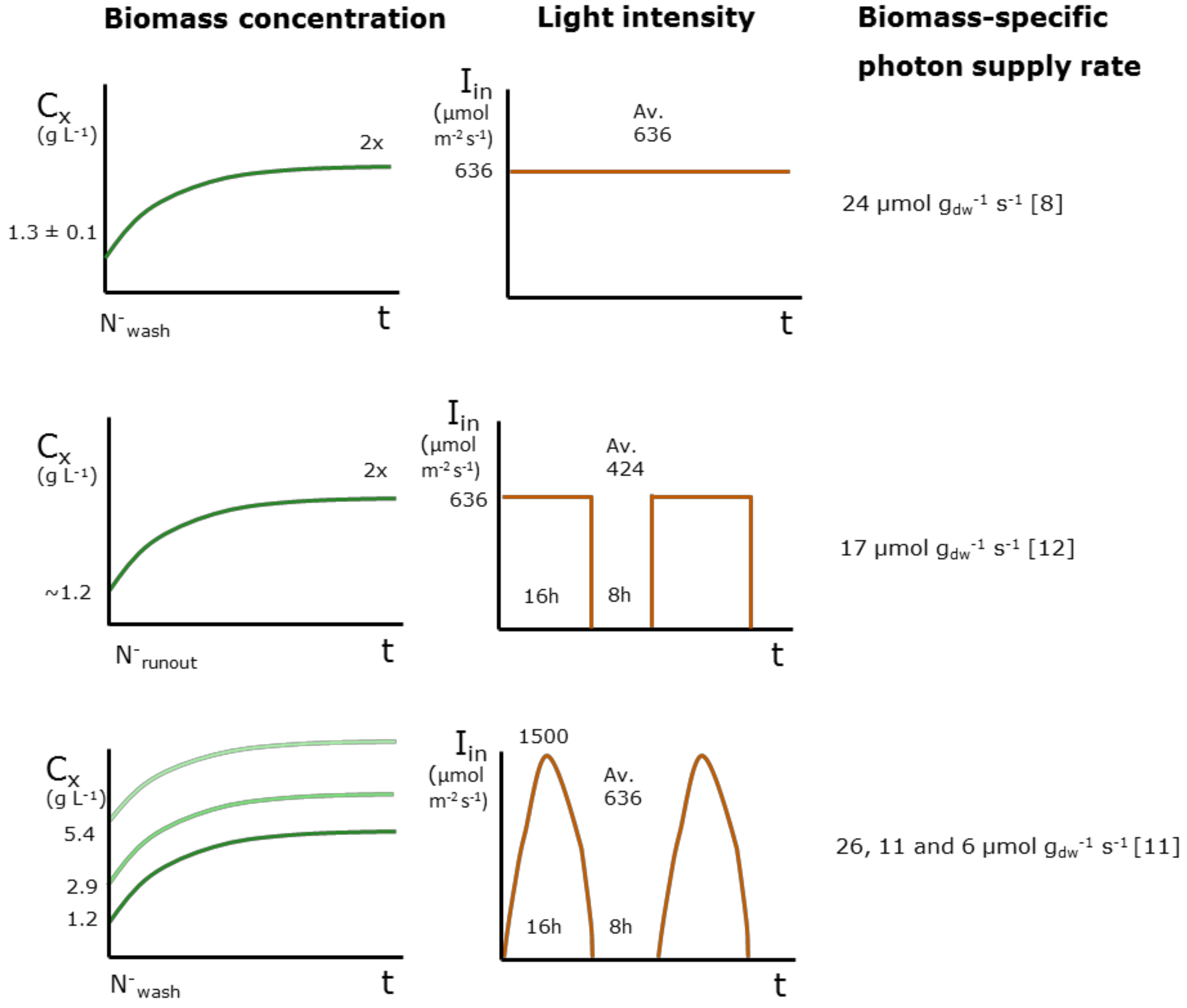 Biology 08 00005 g001 Biology 08 00005 g001