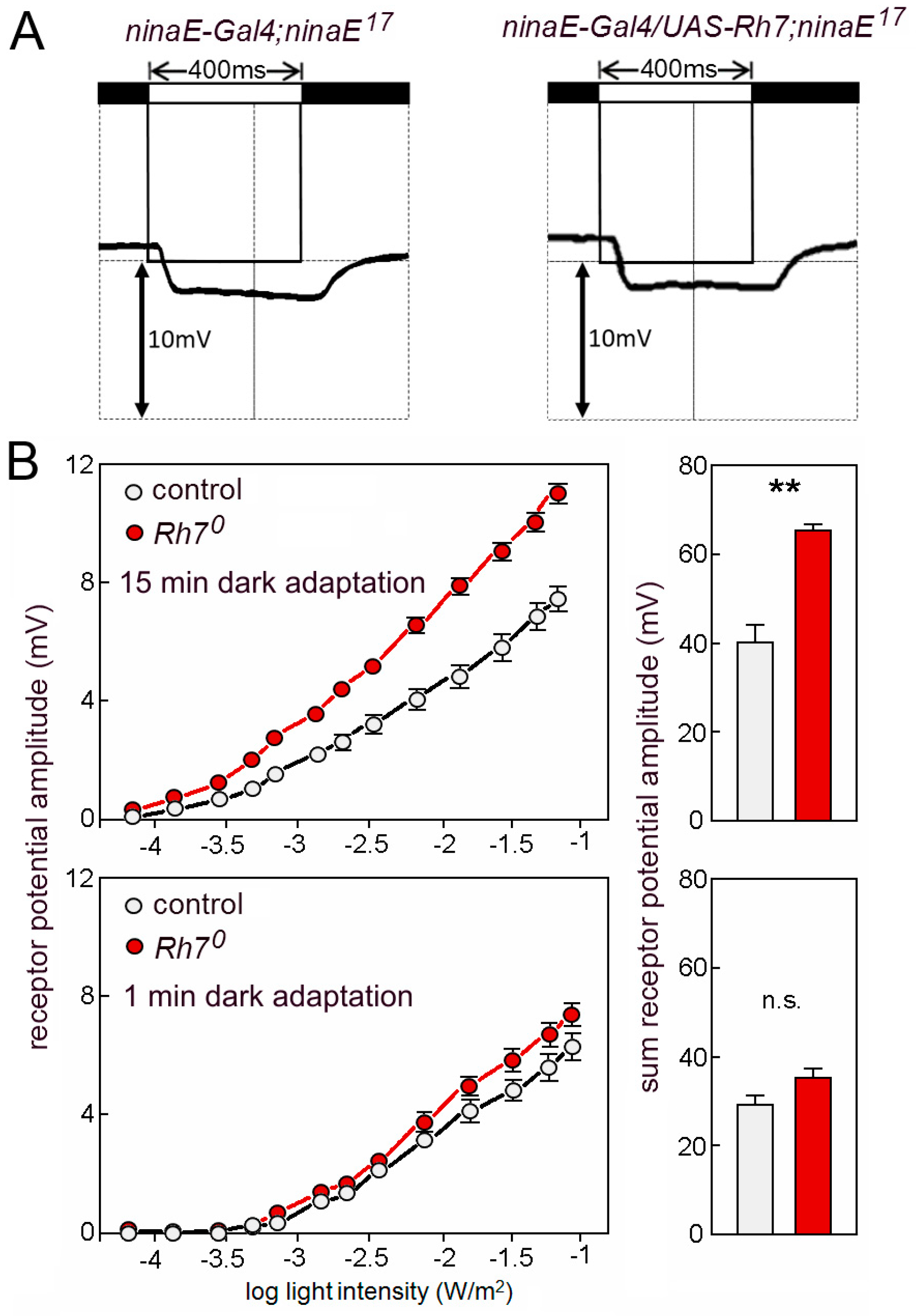 Biology 08 00006 g007 Biology 08 00006 g007