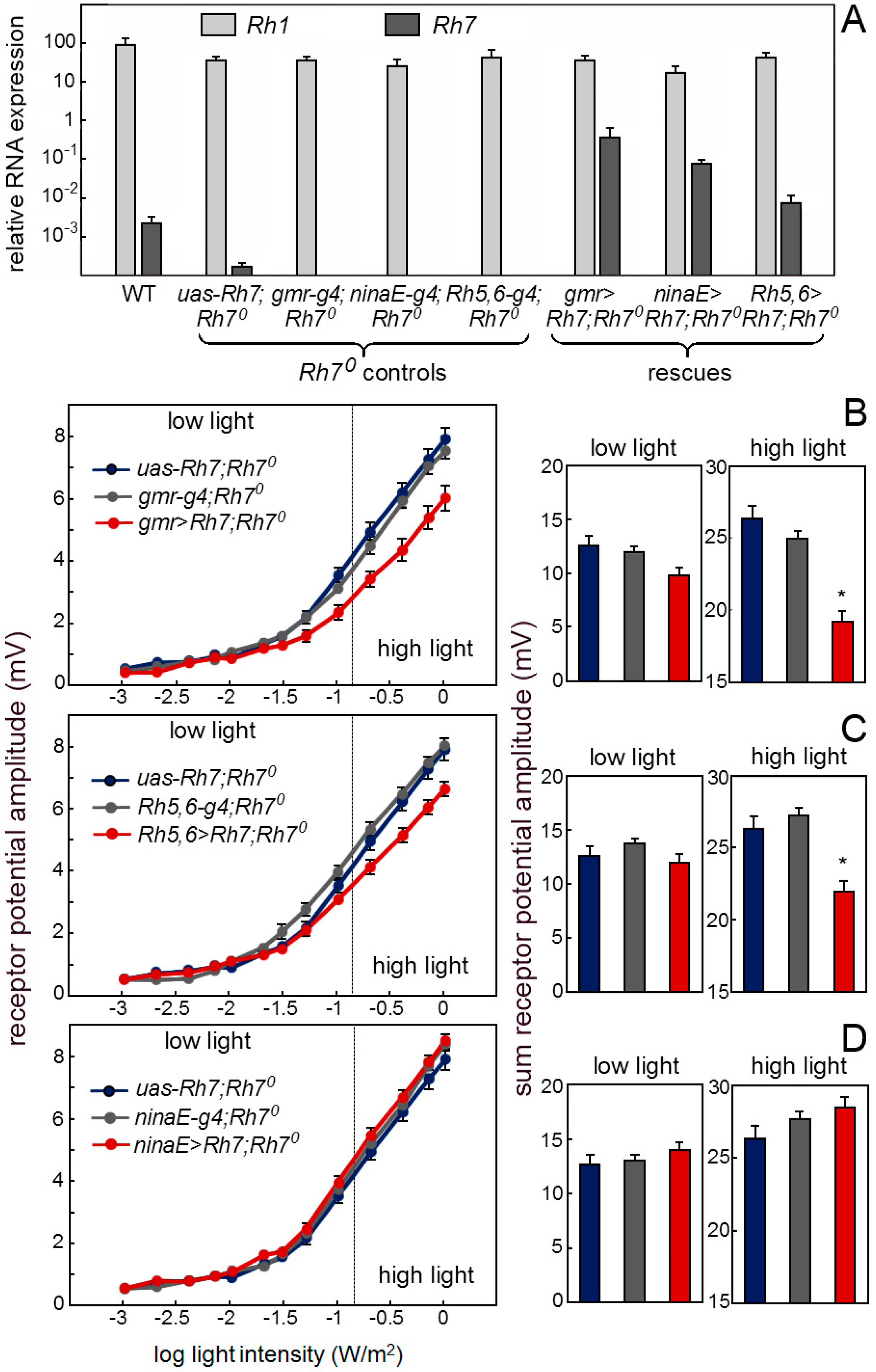 Biology 08 00006 g008 Biology 08 00006 g008
