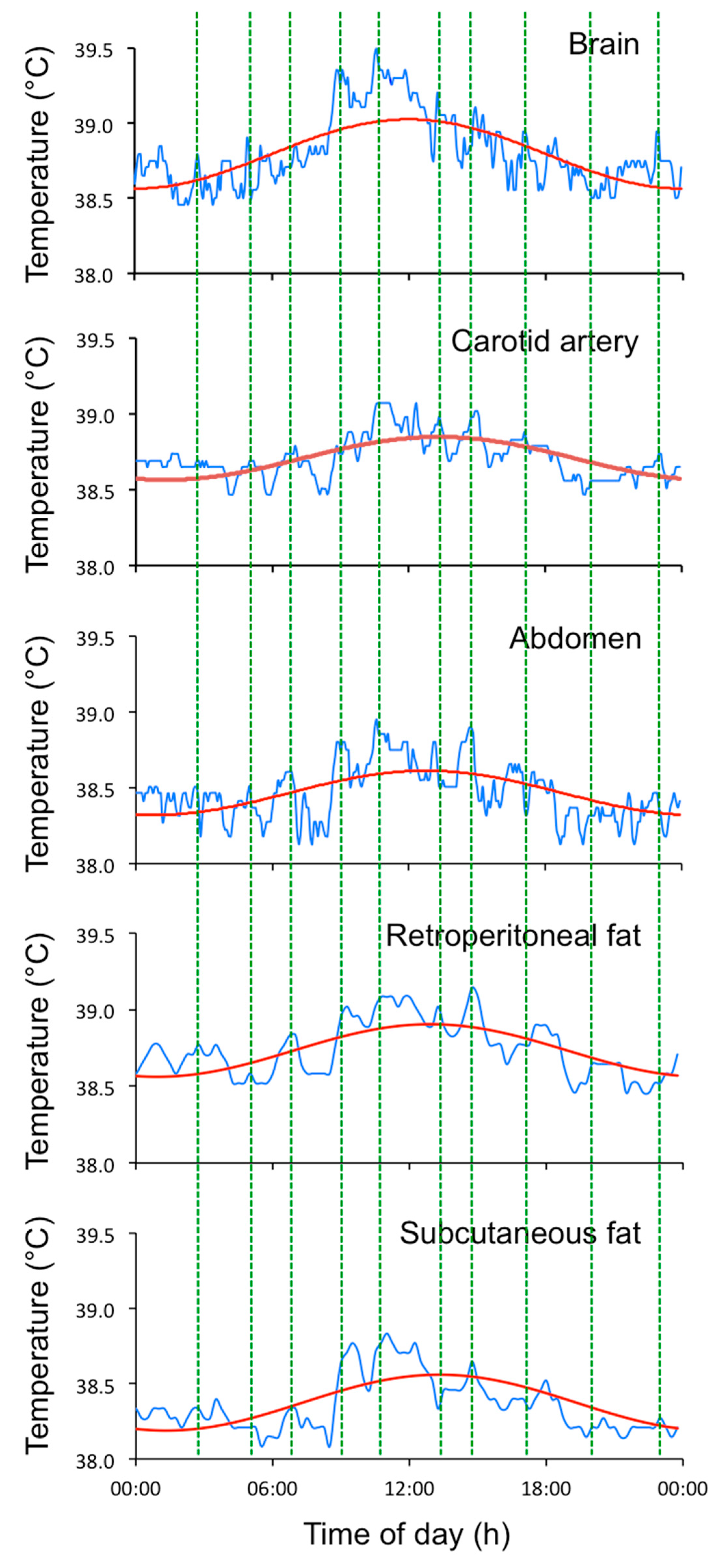 Biology 08 00015 g002