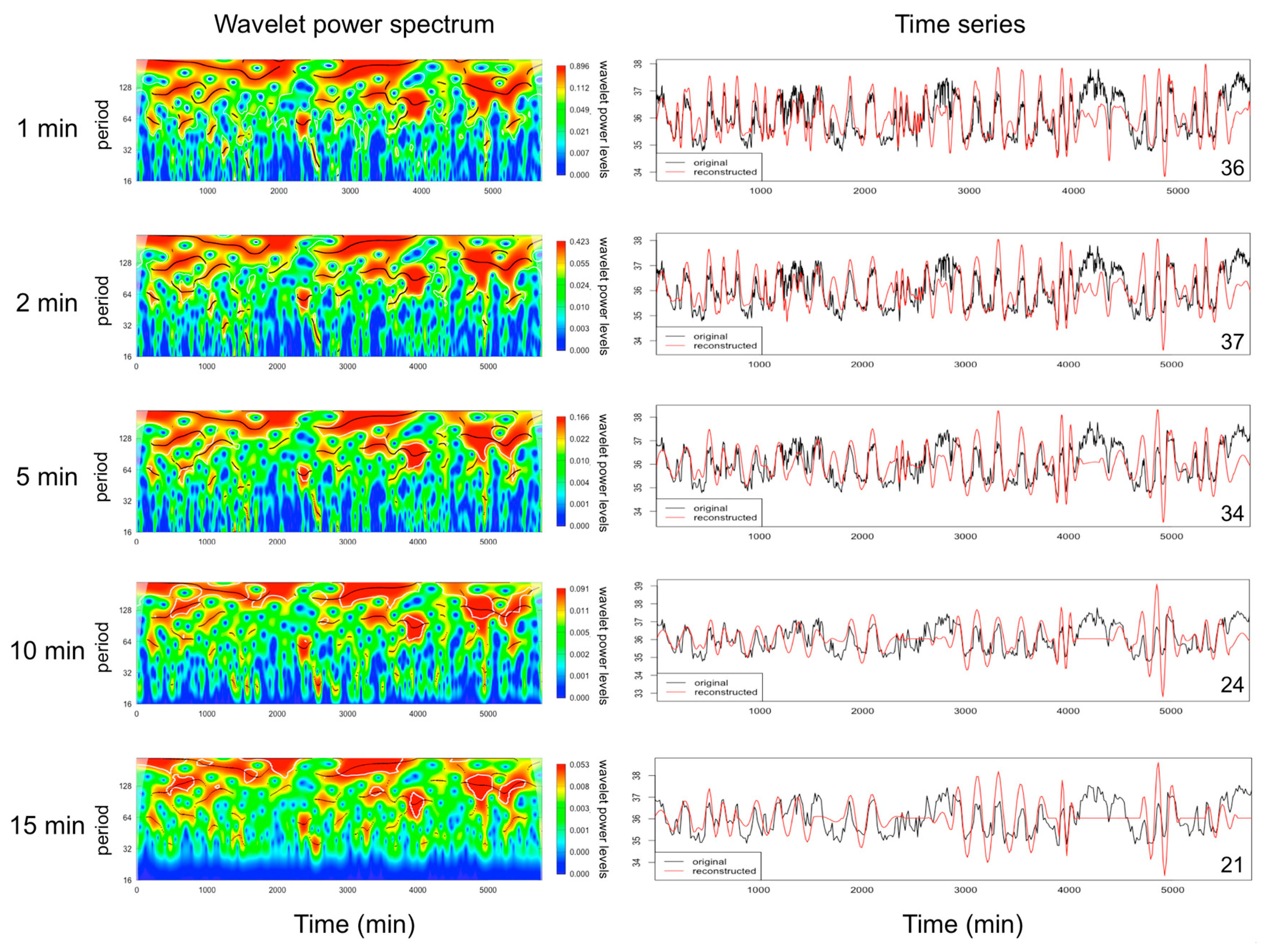 Biology 08 00015 g003