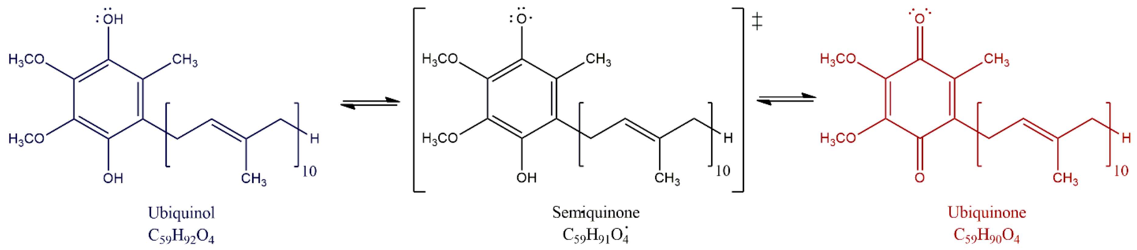 Biology 08 00028 g001