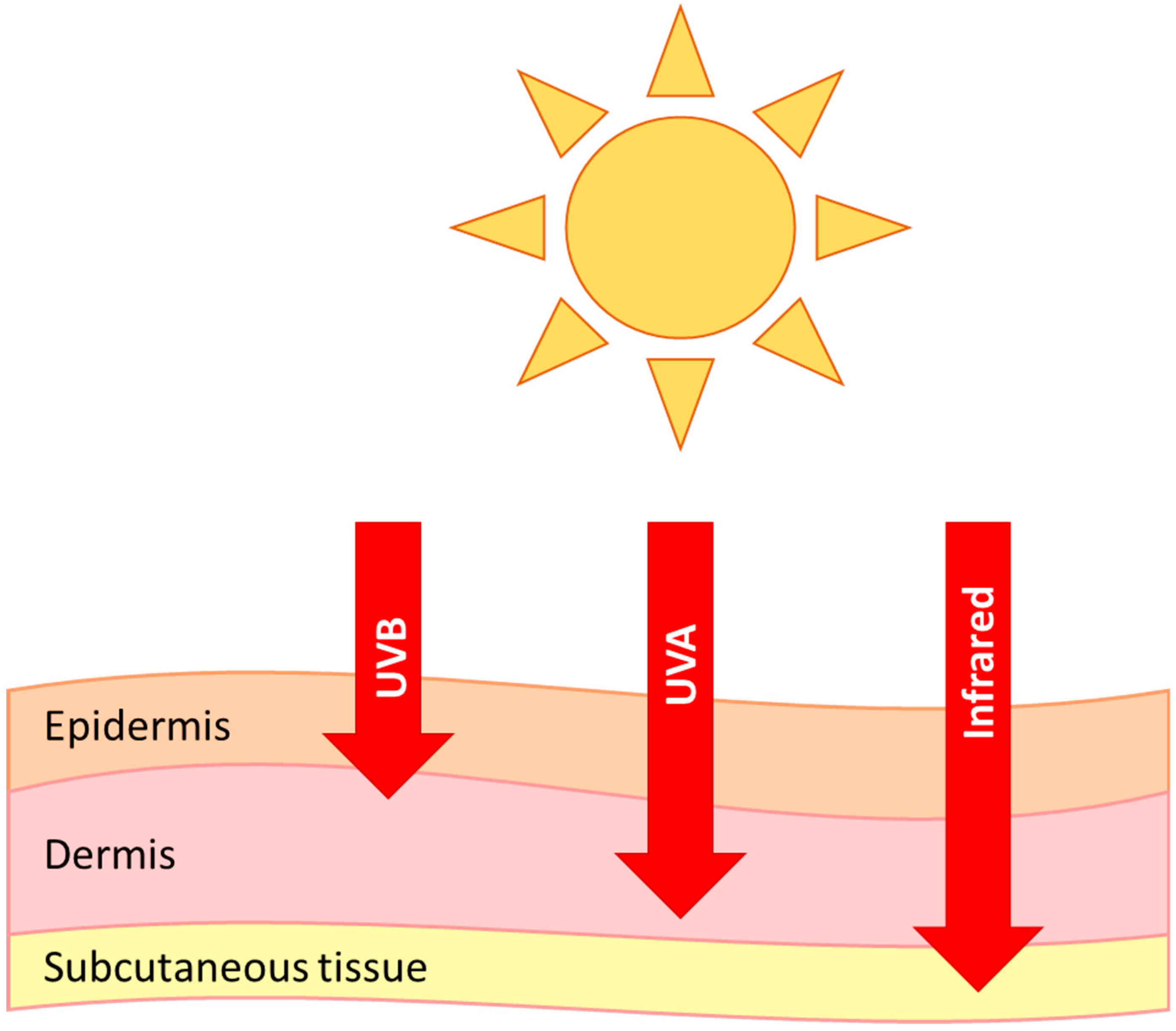 Biology 08 00029 g001