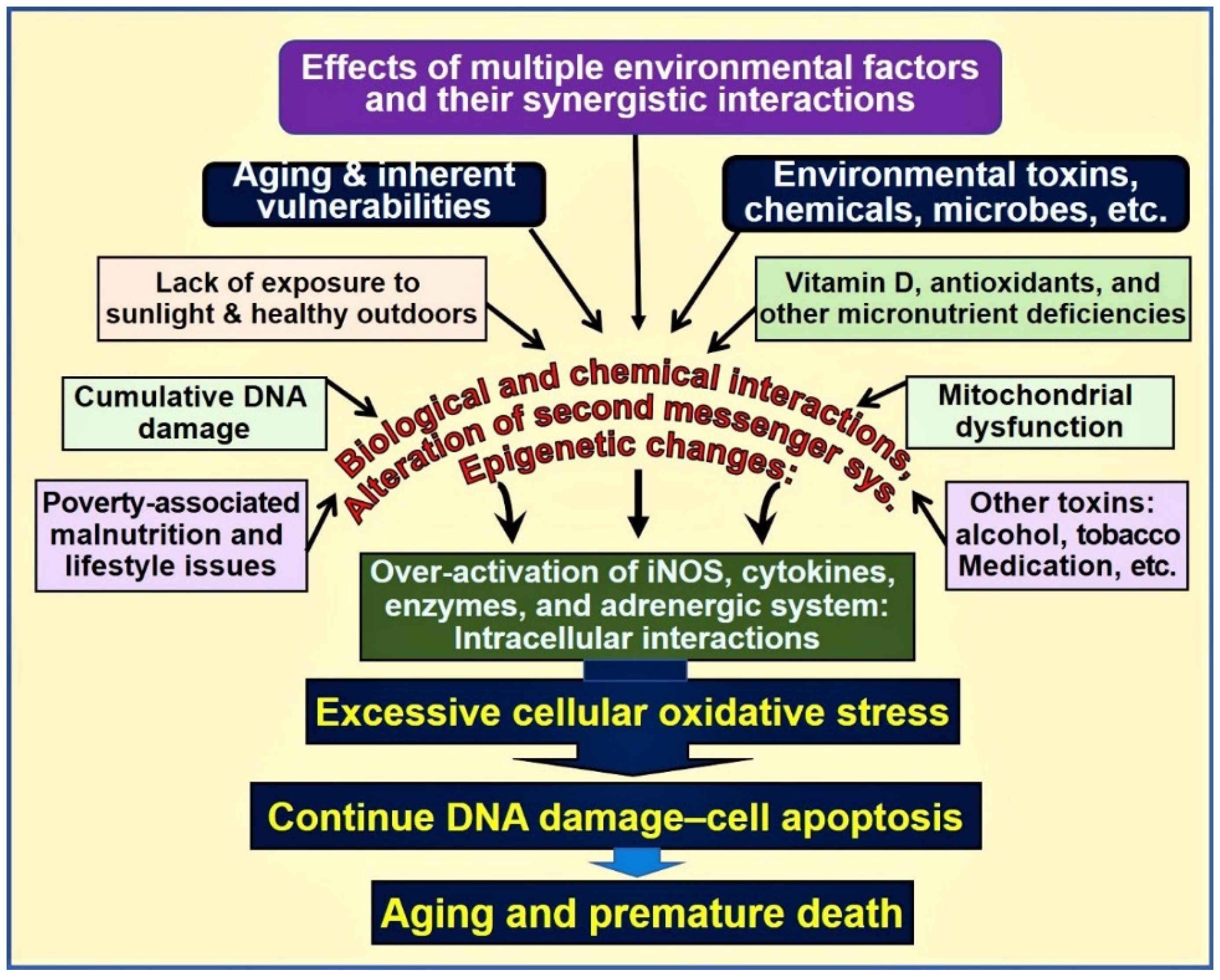 Supplementation with vitamin D and its analogs for treatment of endothelial  dysfunction and cardiovascular disease – ScienceOpen