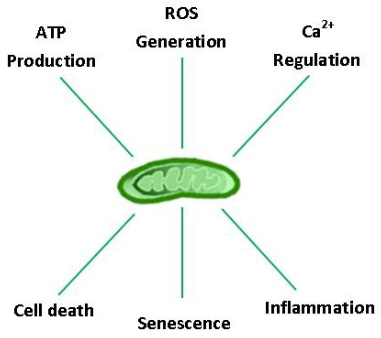 Biology 08 00040 g001