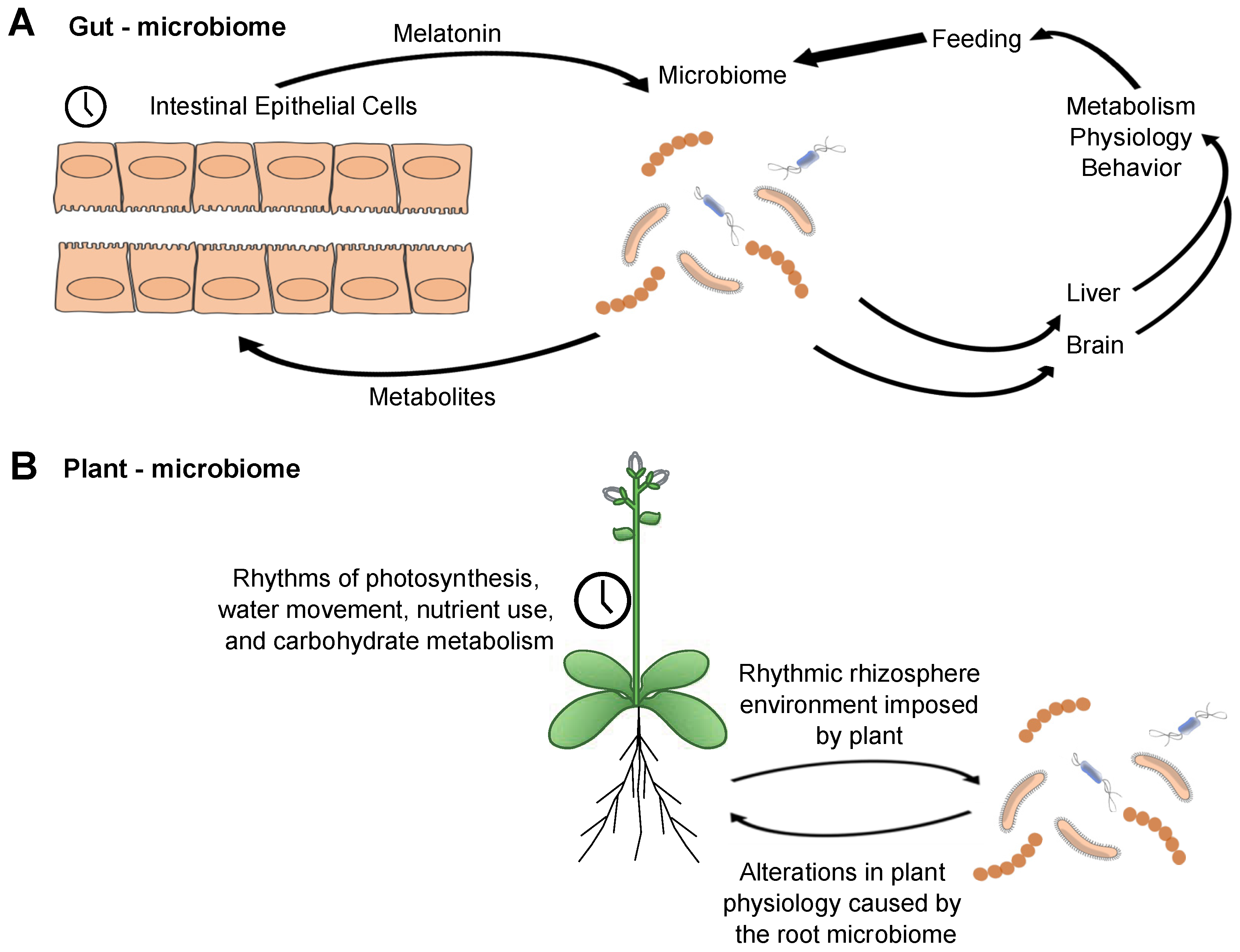 Biology 08 00041 g003 Biology 08 00041 g003