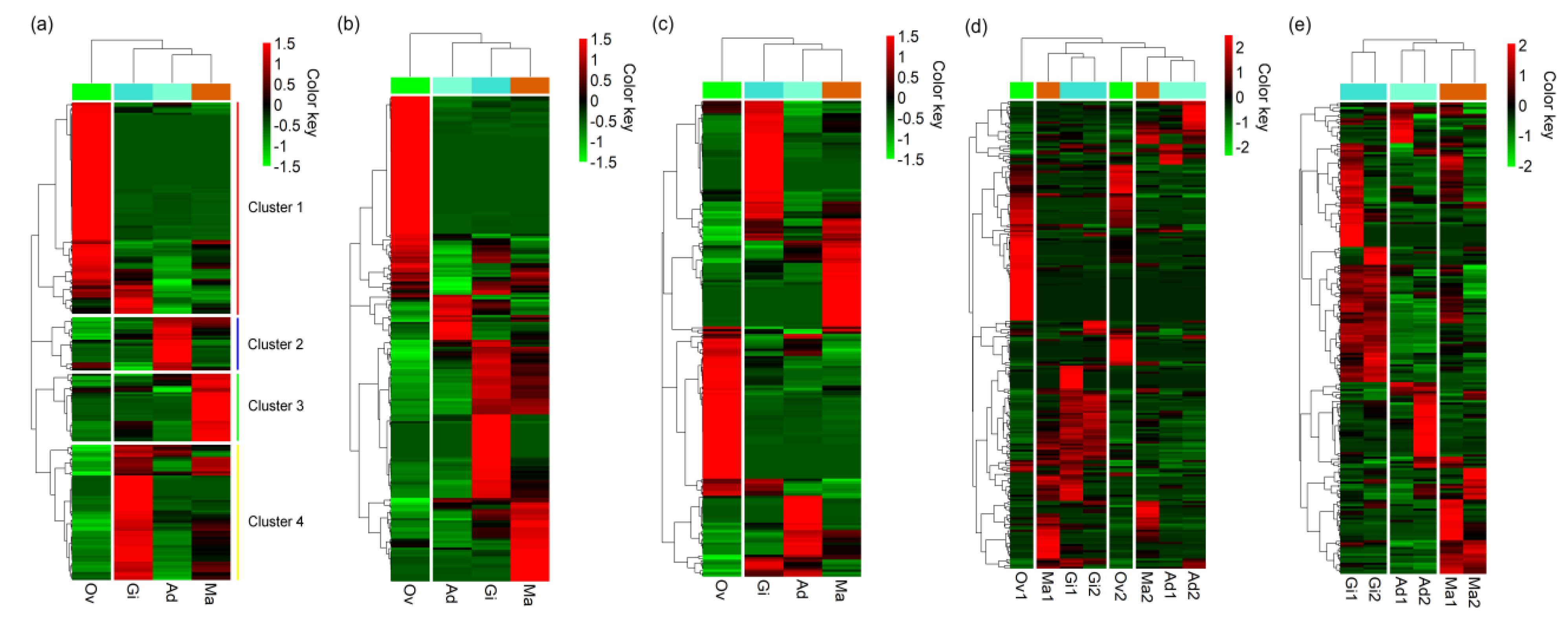 Biology 08 00047 g003