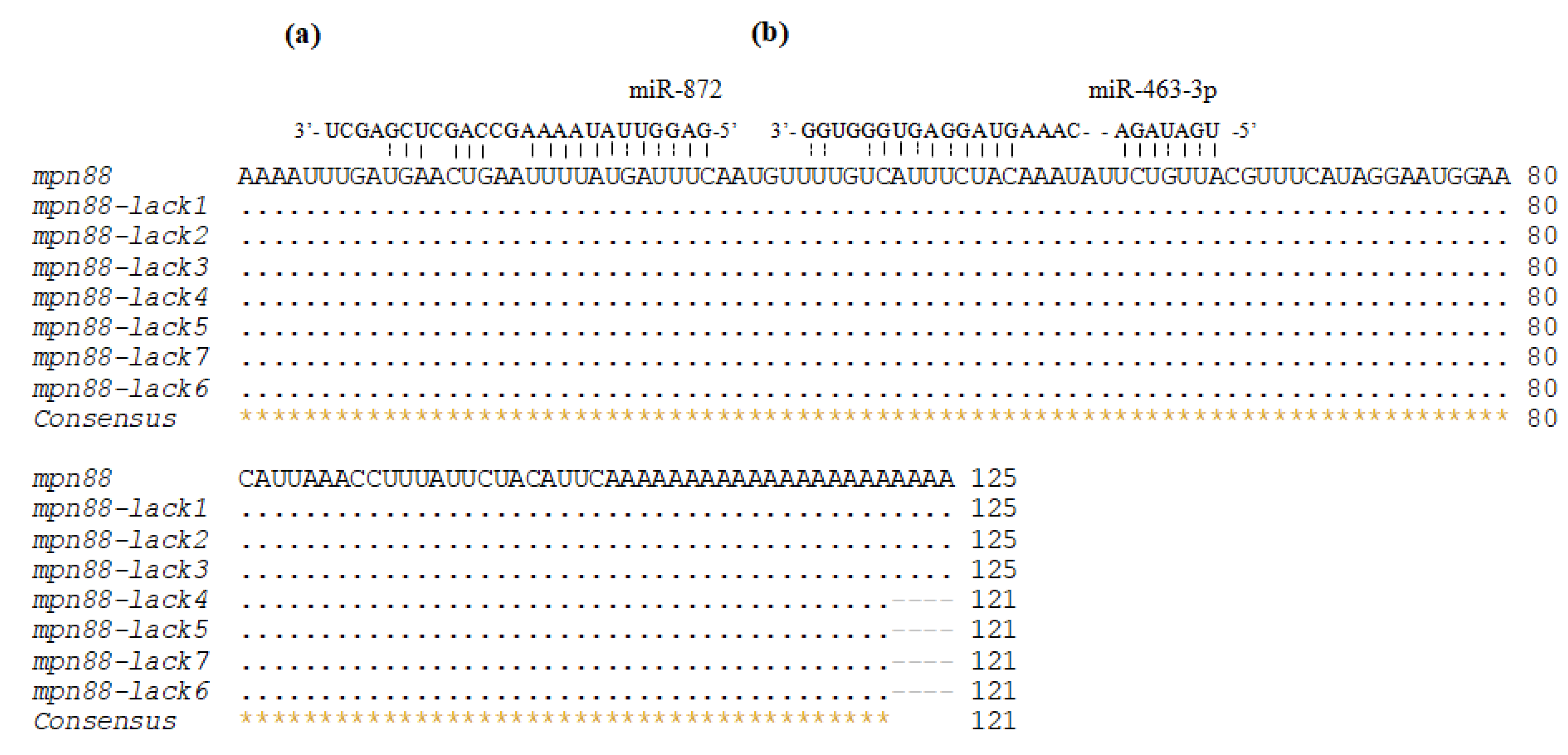 Biology 08 00047 g005