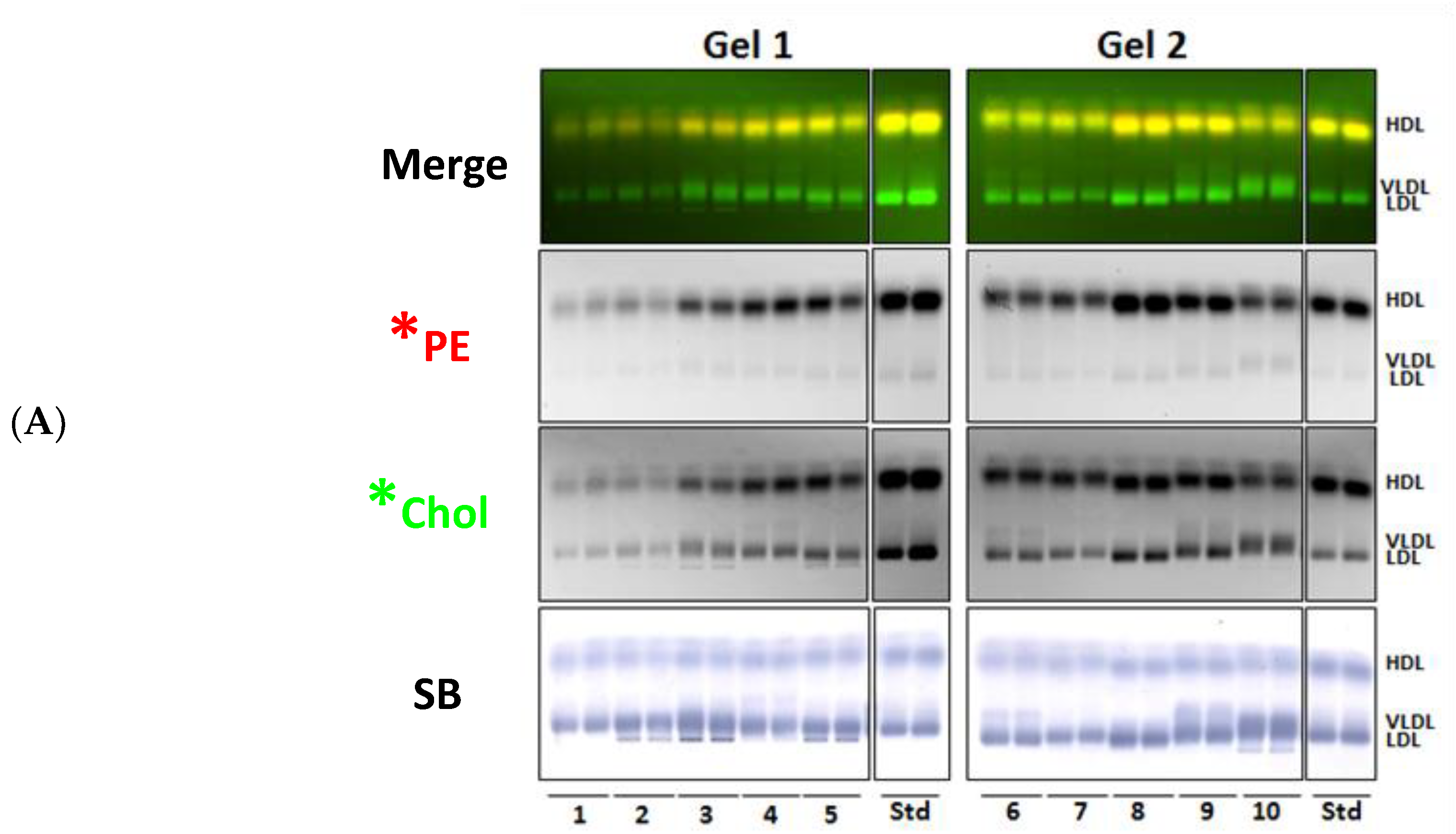 Biology 08 00053 g008a Biology 08 00053 g008a