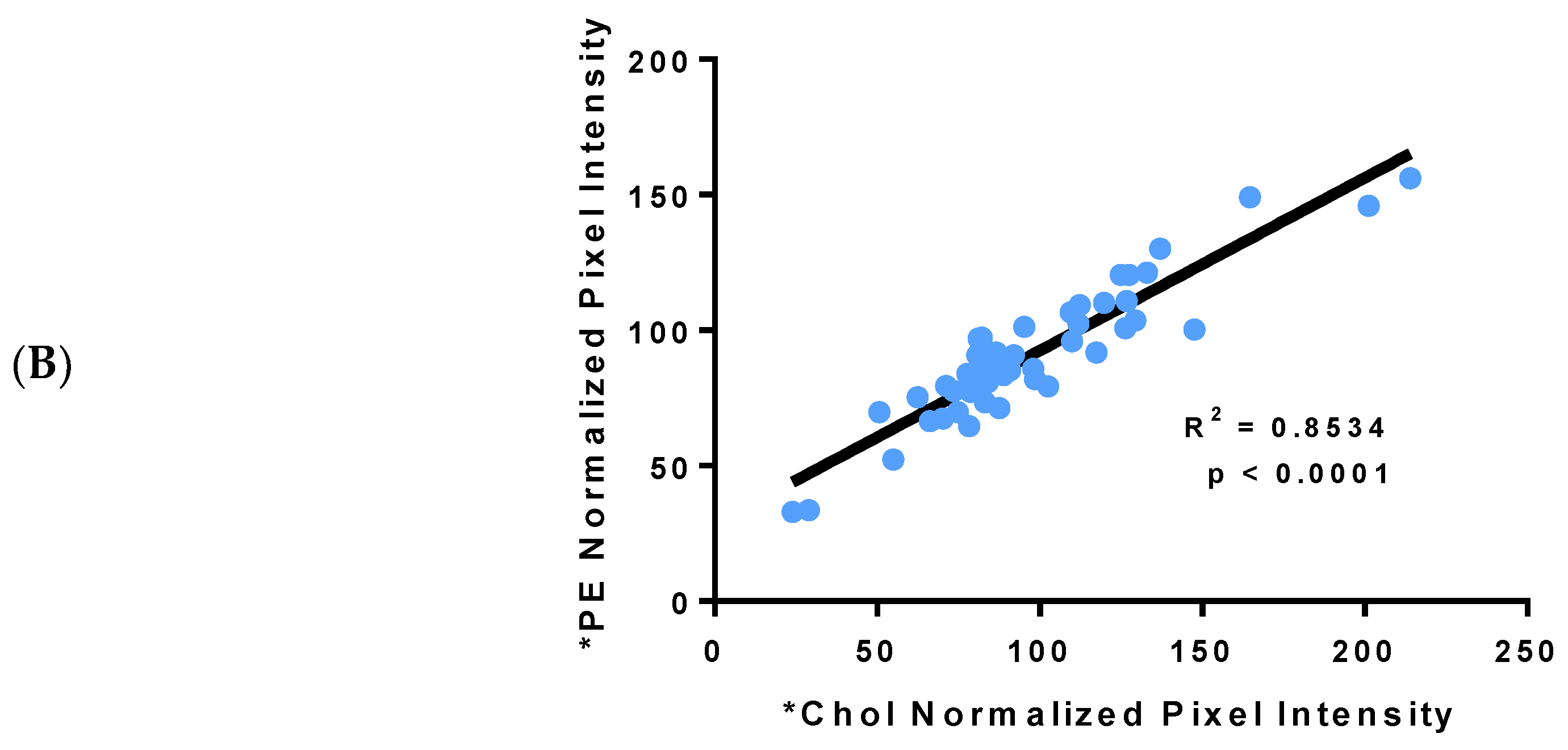 Biology 08 00053 g008b Biology 08 00053 g008b