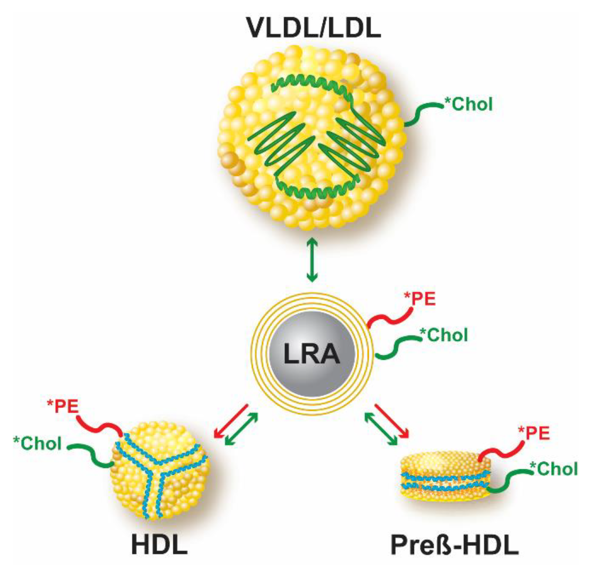 Biology 08 00053 g009 Biology 08 00053 g009