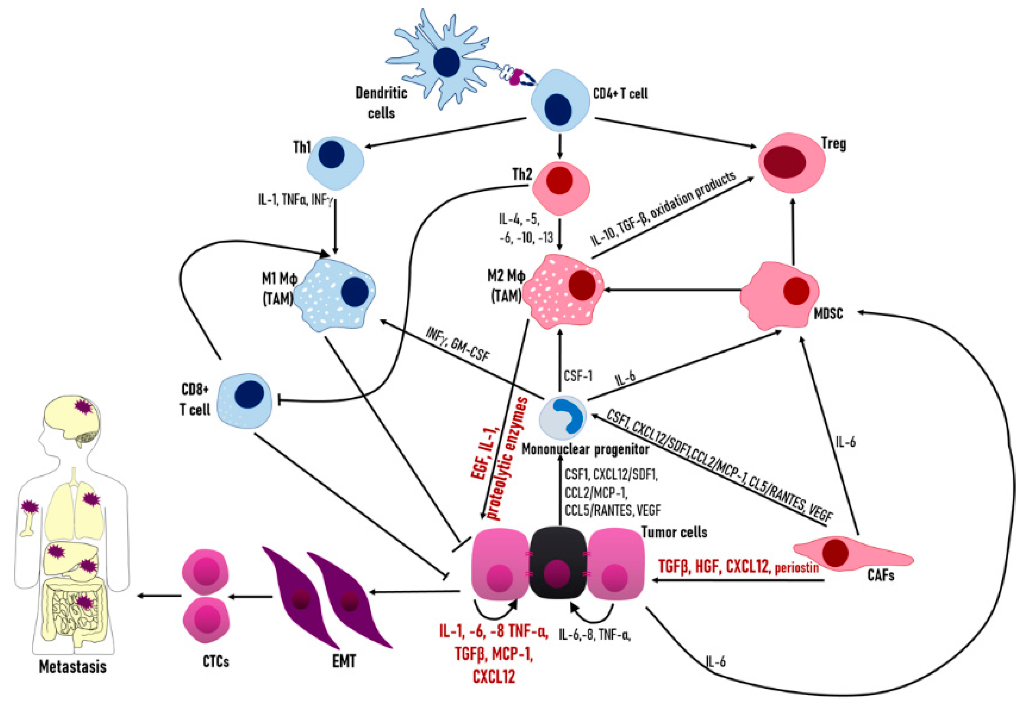 Biology 08 00071 g003 Biology 08 00071 g003