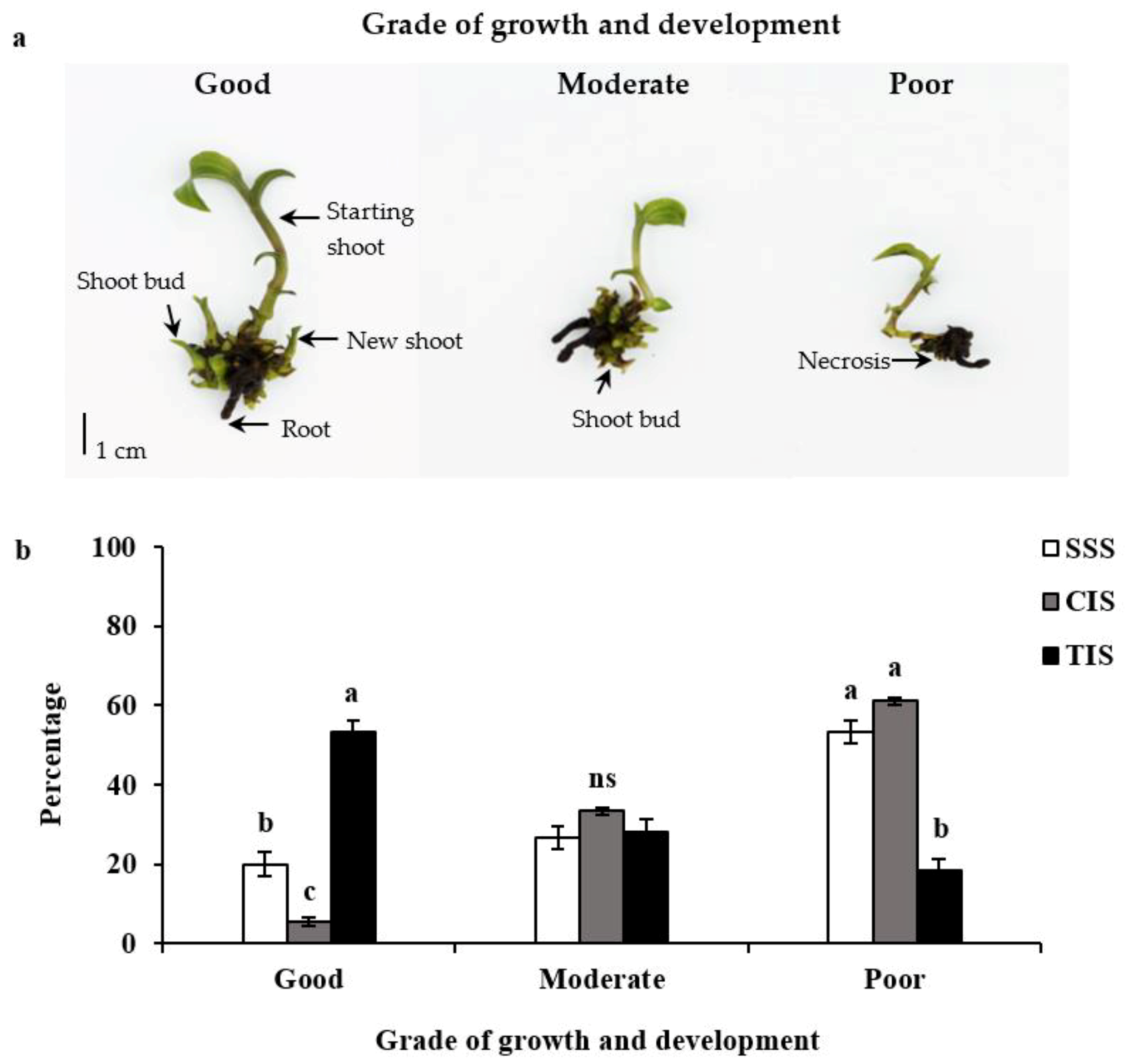 Biology 08 00072 g002