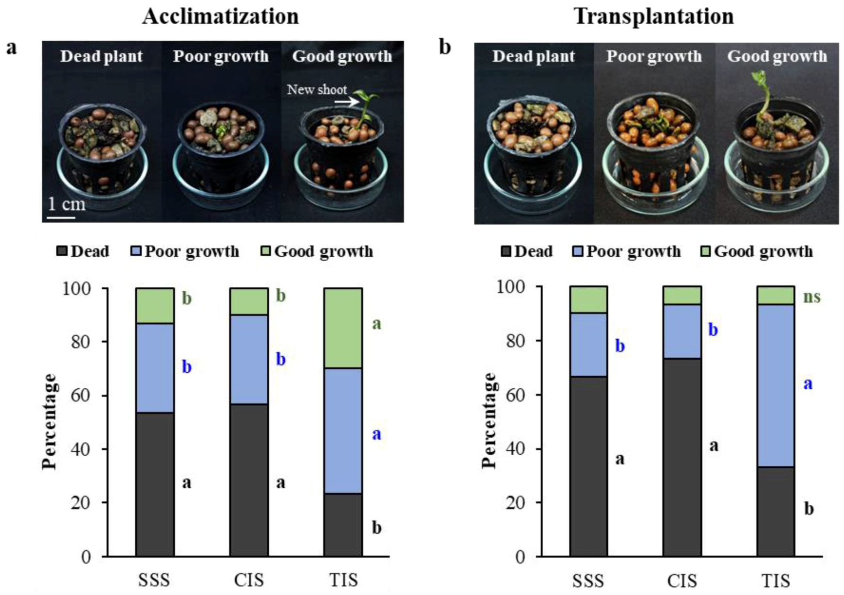 Biology 08 00072 g003