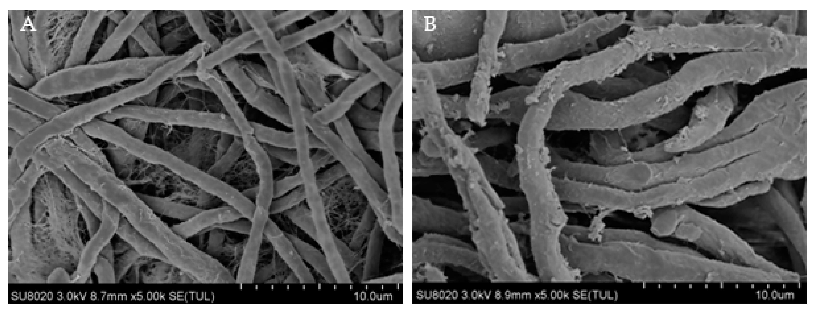 Biology 08 00073 g002 Biology 08 00073 g002