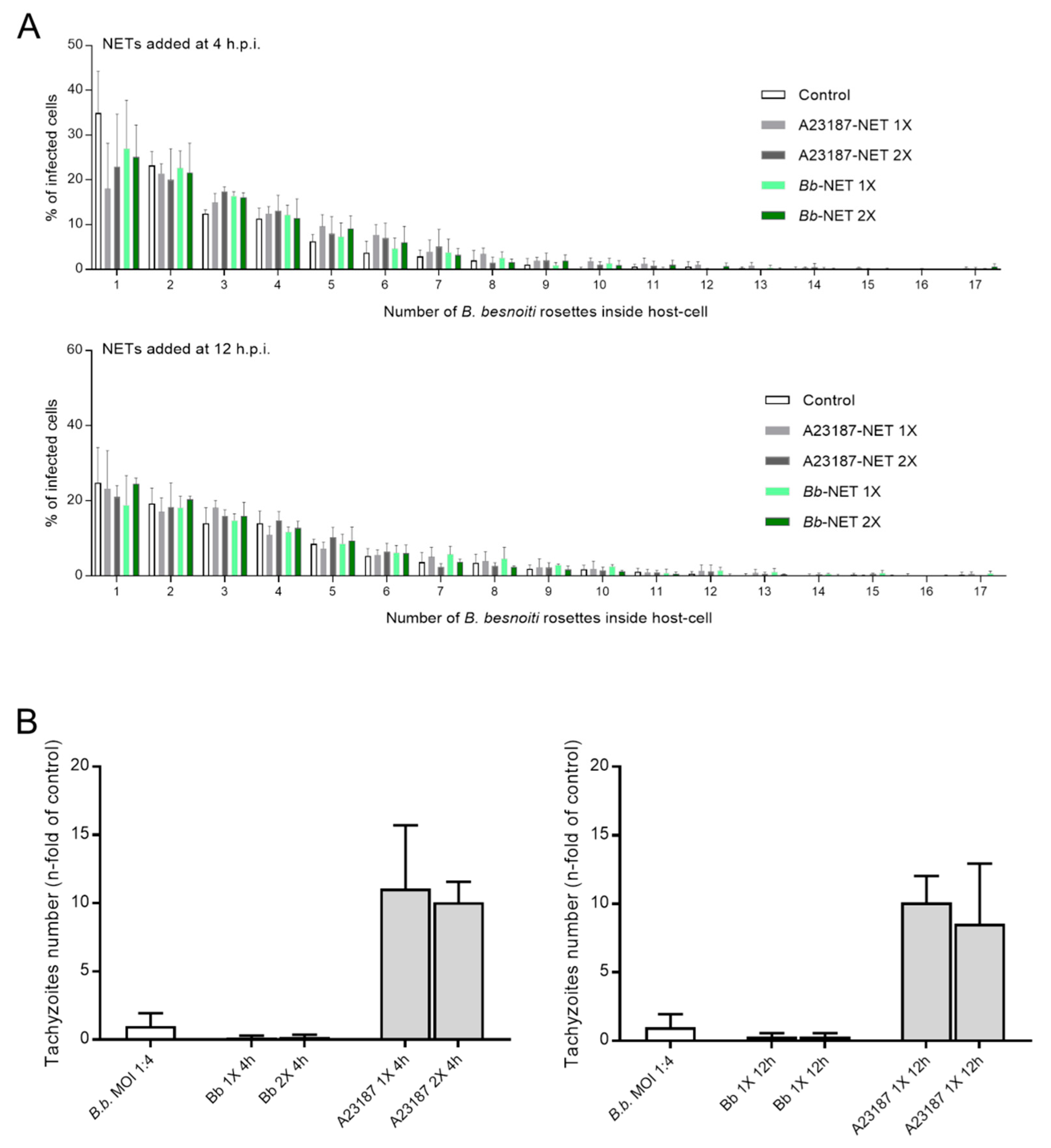 Biology 08 00078 g007 Biology 08 00078 g007
