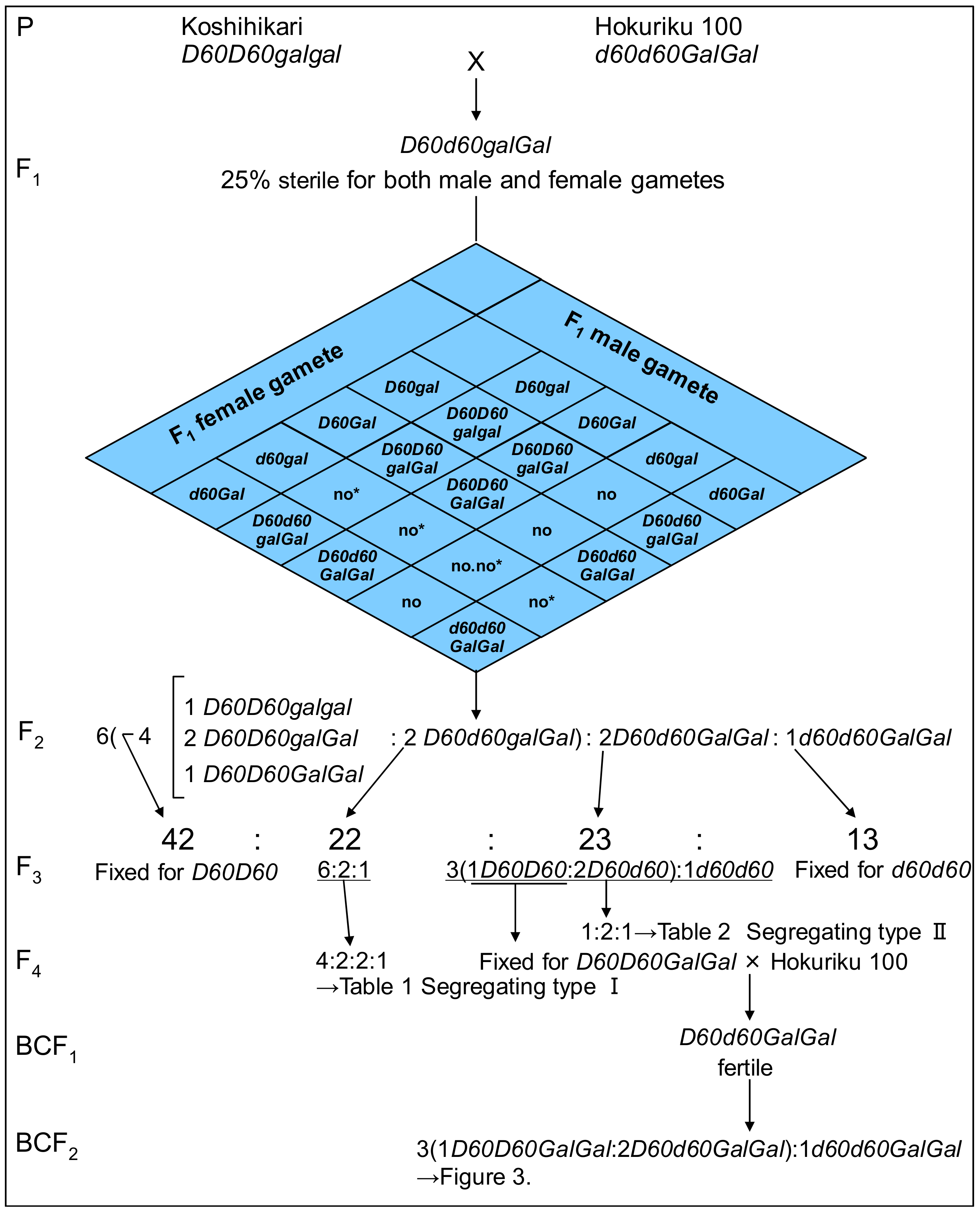 Biology 08 00094 g001 Biology 08 00094 g001