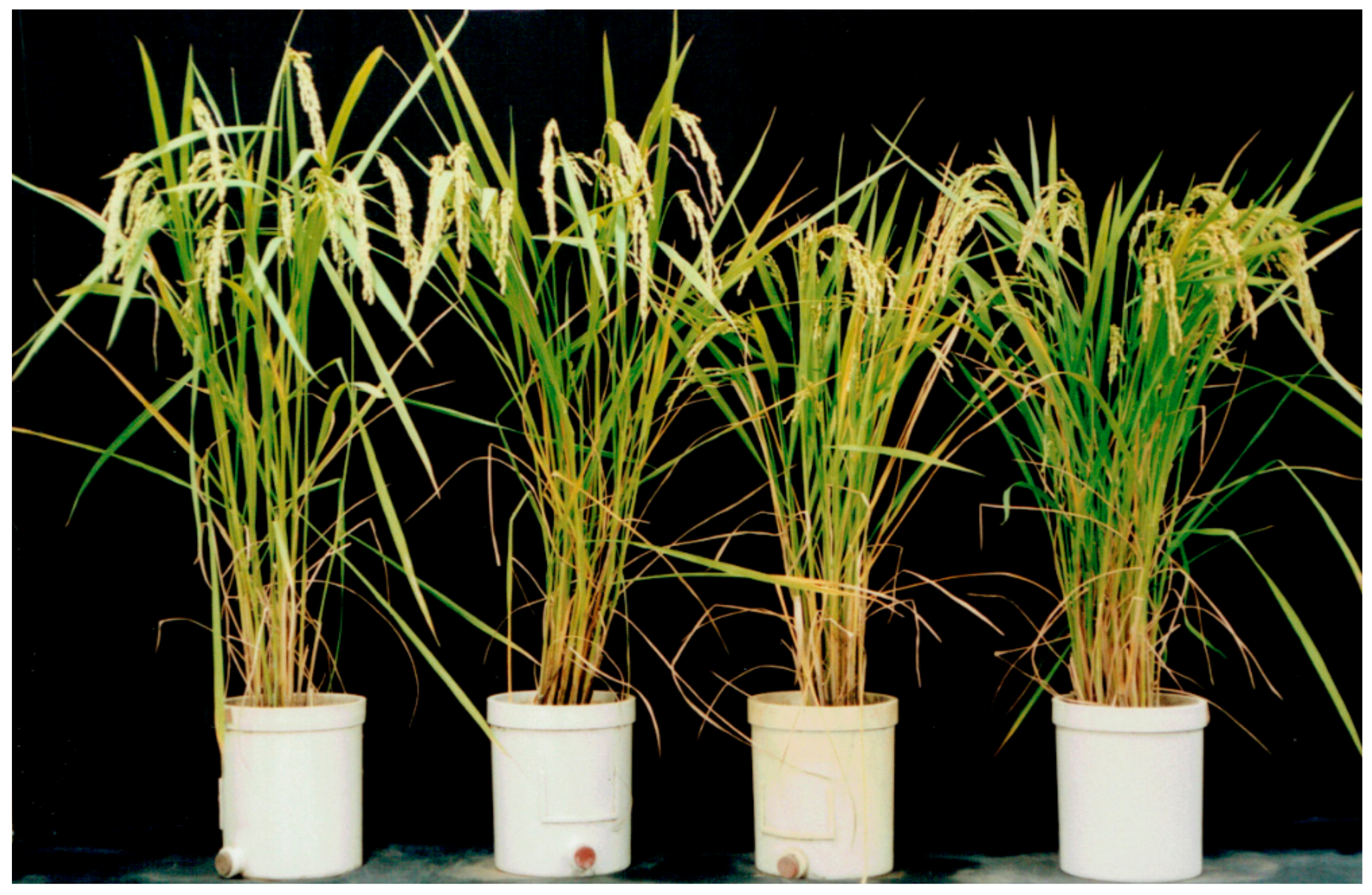 Biology 08 00094 g004 Biology 08 00094 g004