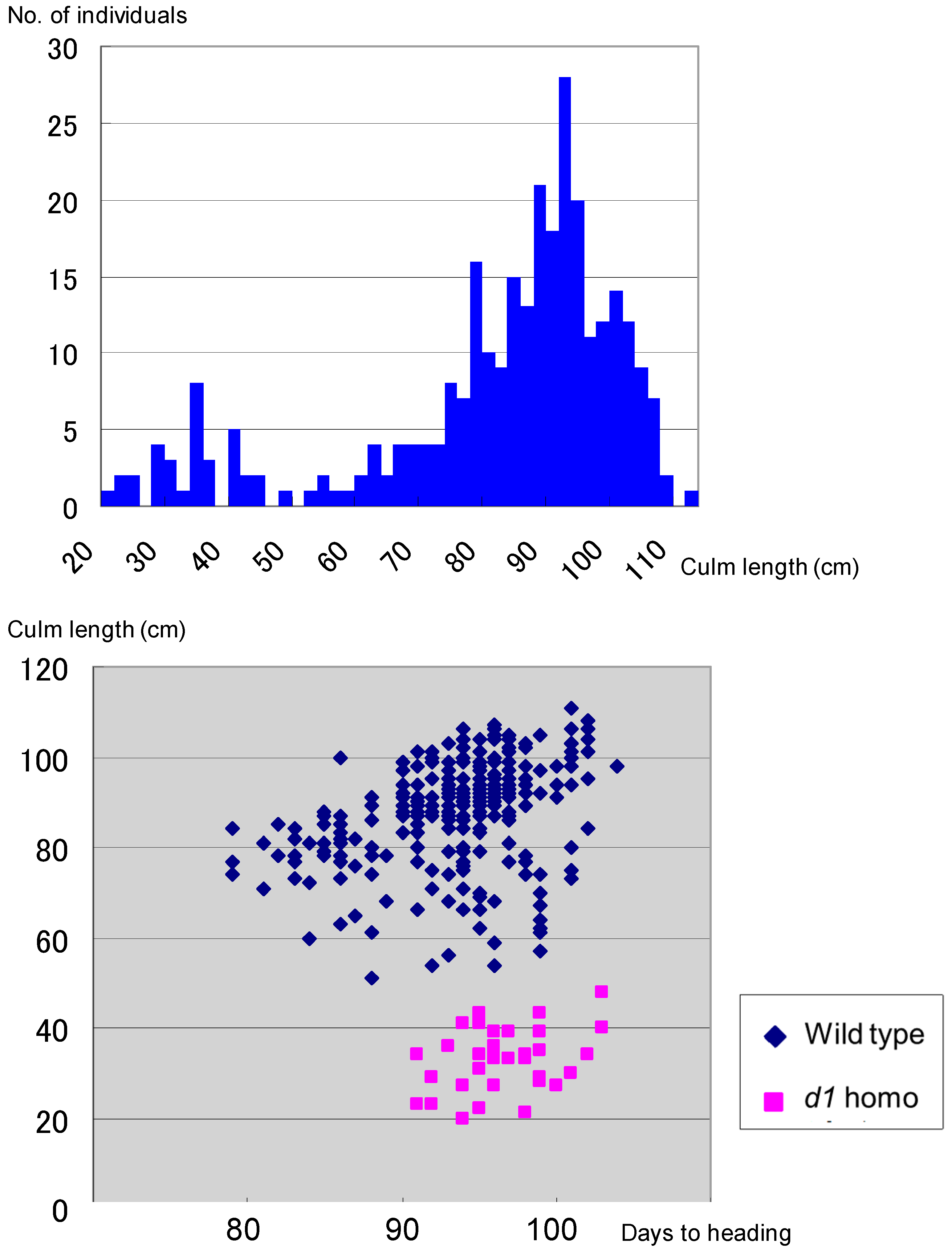 Biology 08 00094 g005 Biology 08 00094 g005