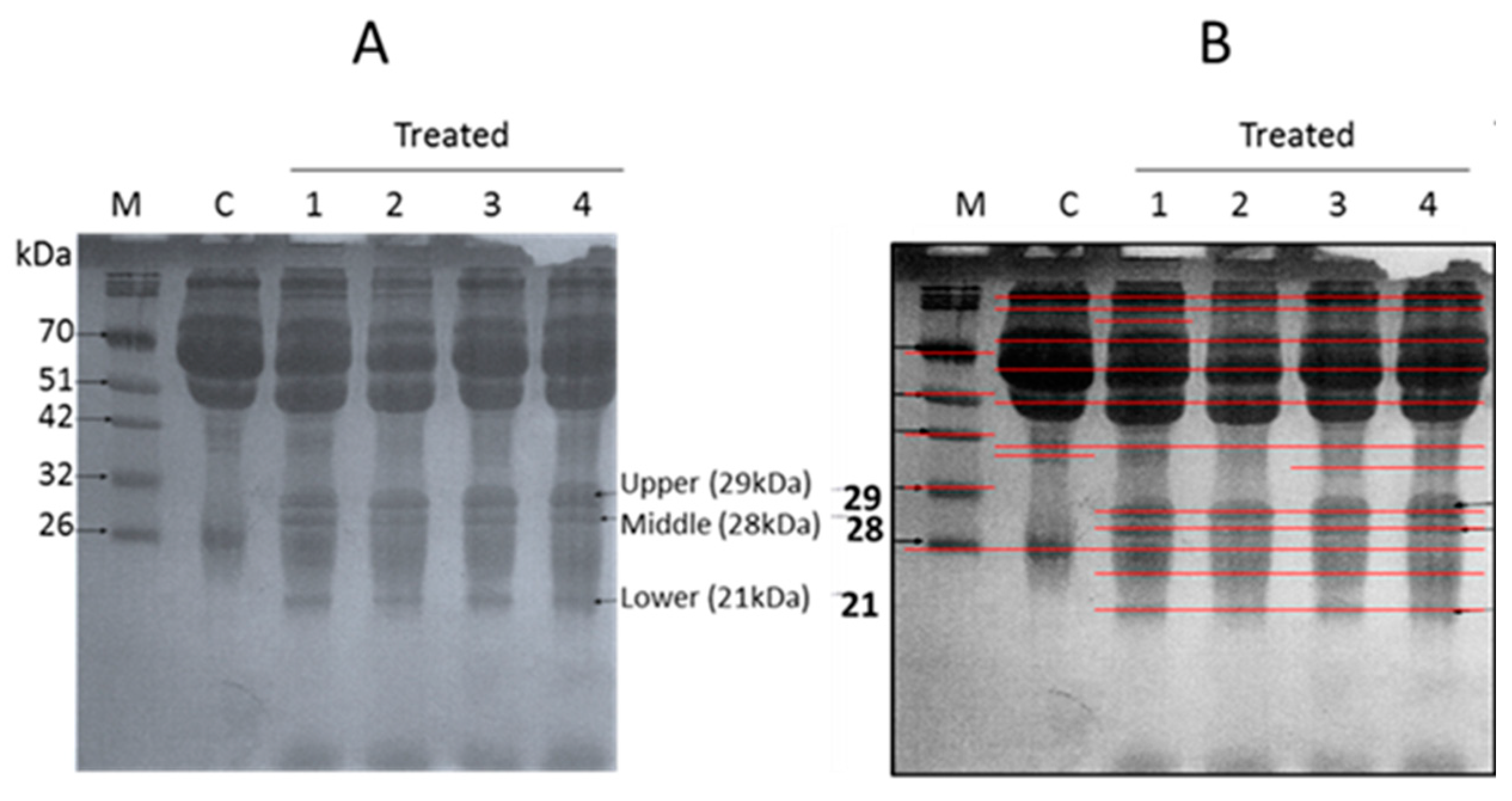 Biology 09 00002 g005 Biology 09 00002 g005