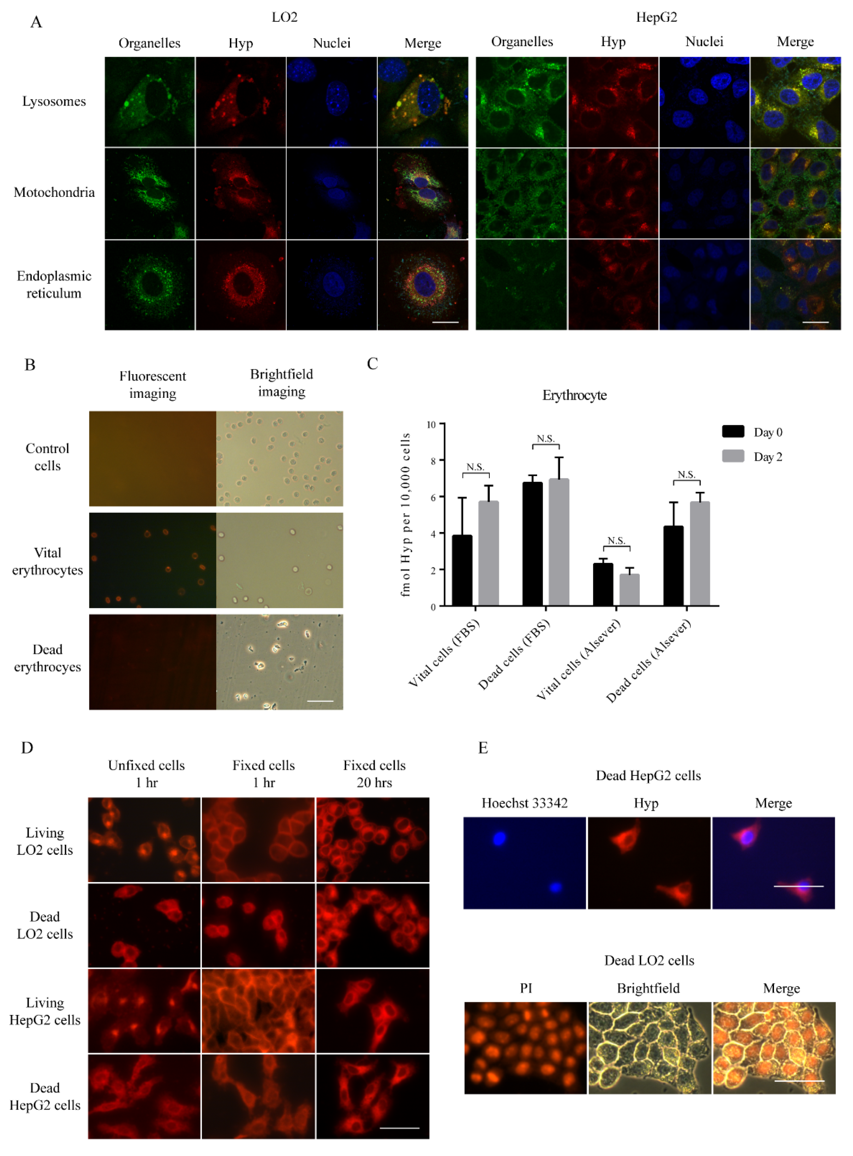 Biology 09 00013 g004