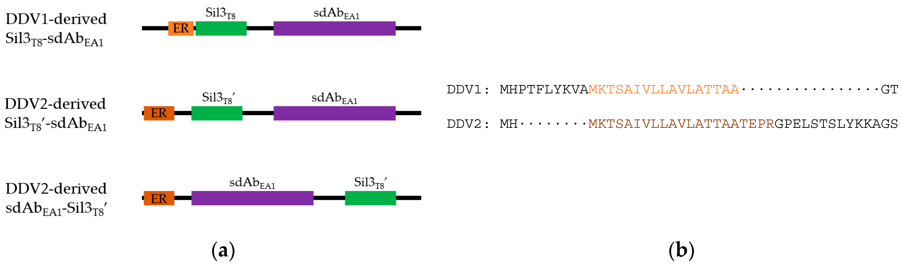 Biology 09 00014 g001