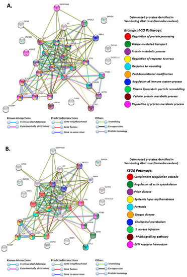 Biology Free Full Text Protein Deimination And Extracellular Vesicle Profiles In Antarctic Seabirds Html Biology Free Full Text Protein Deimination And Extracellular Vesicle Profiles In Antarctic Seabirds Html