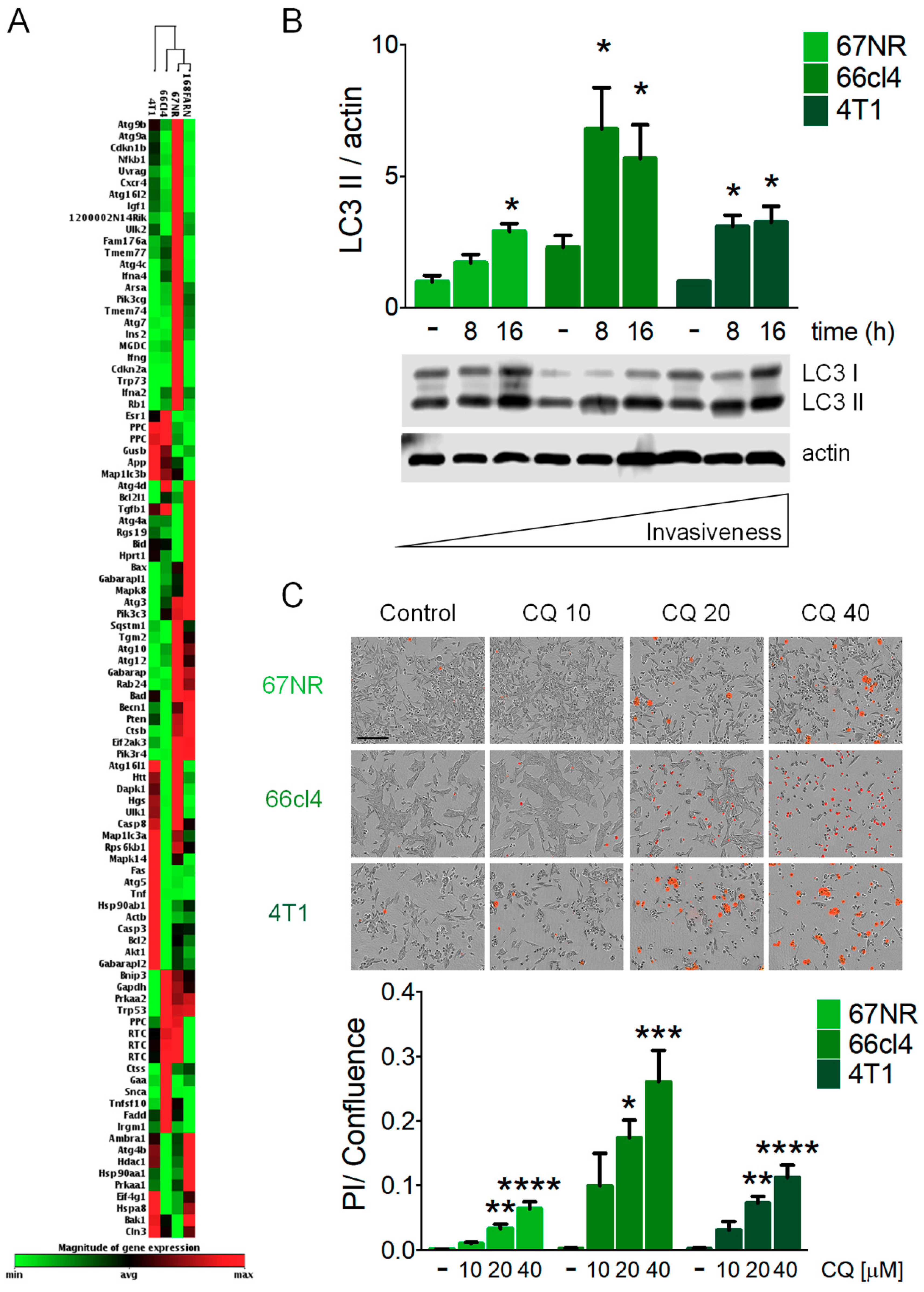 Biology 09 00020 g001 Biology 09 00020 g001