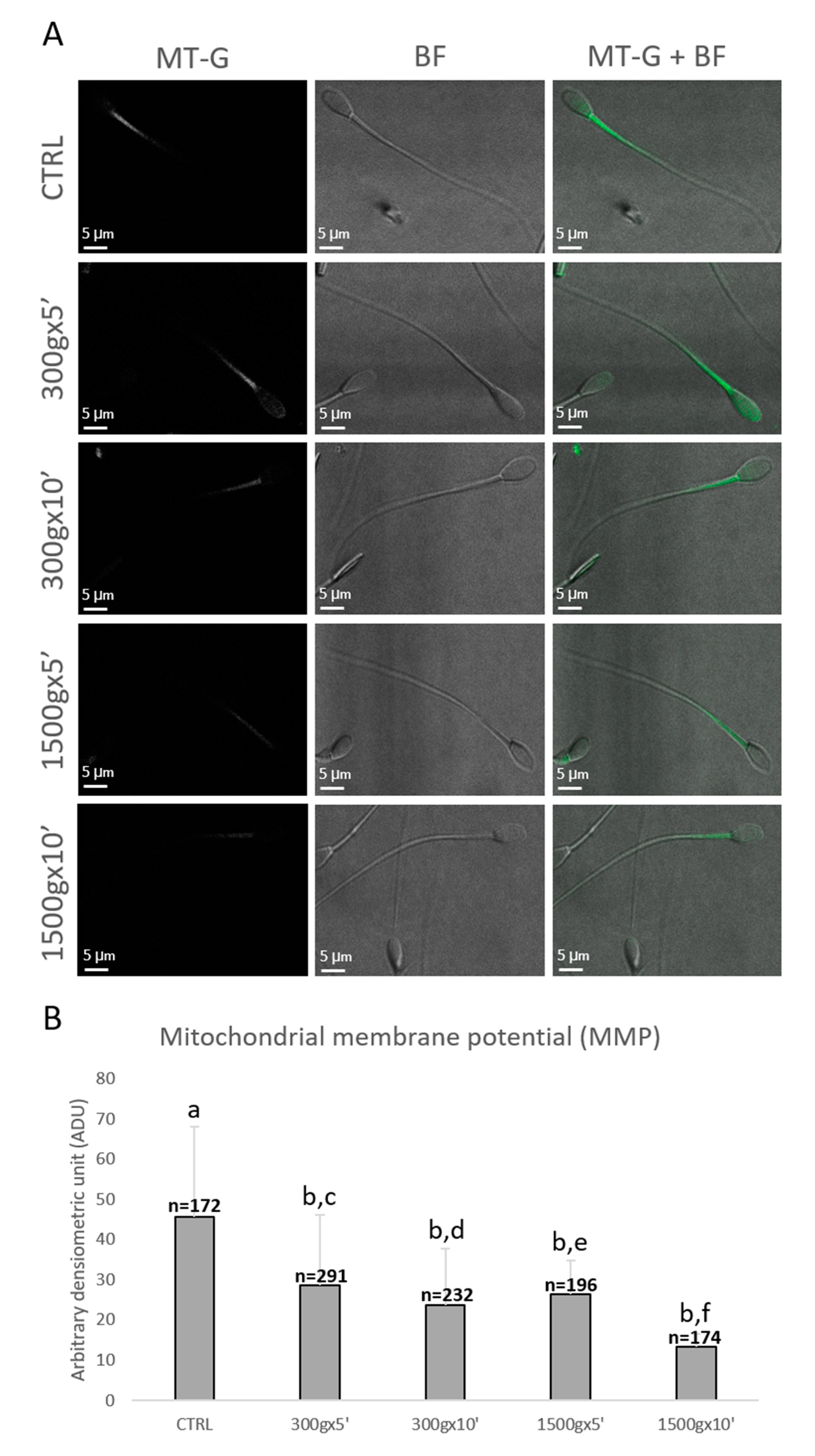 Biology 09 00022 g004